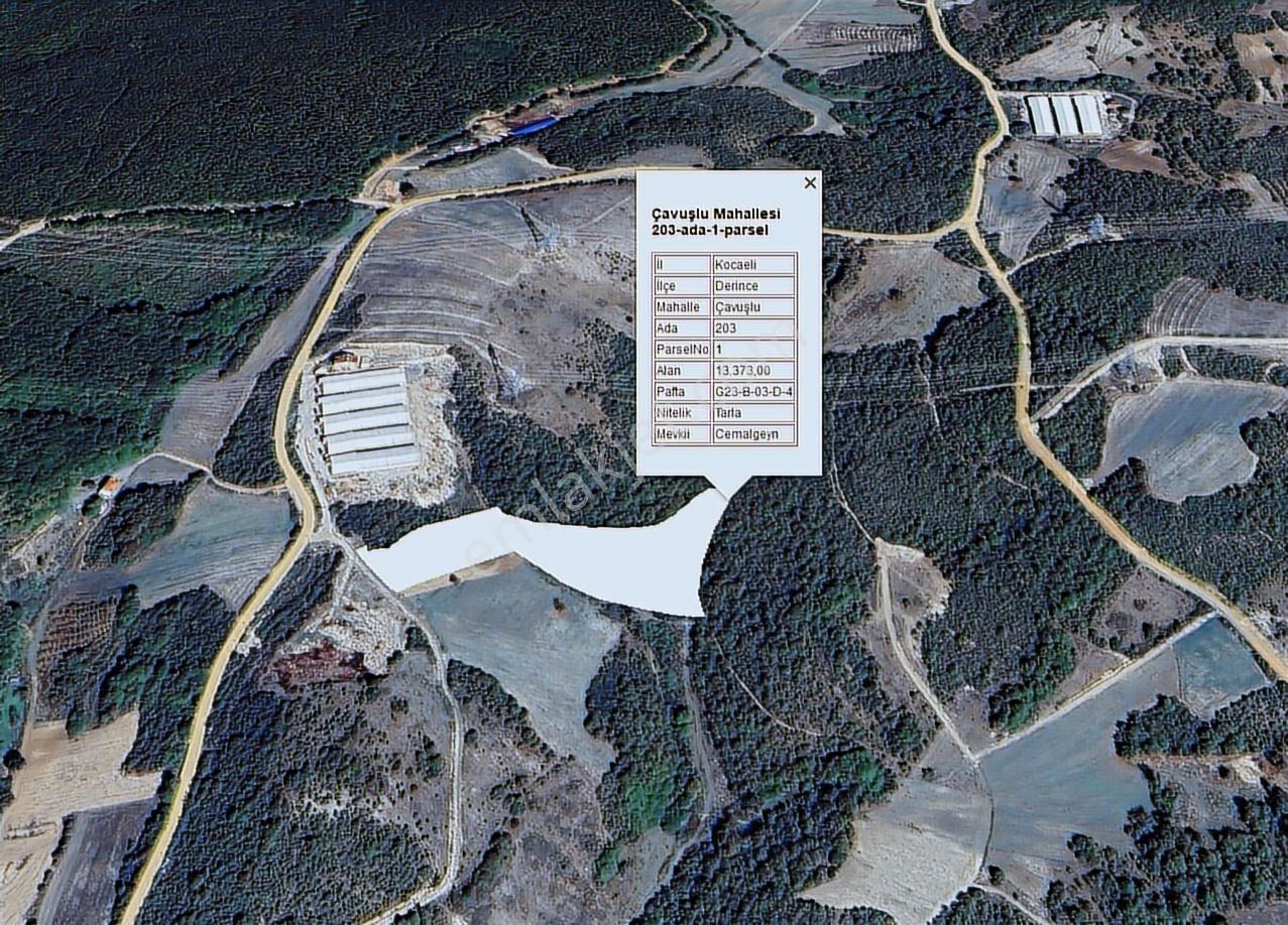 Derince Çavuşluda Resmi Yolu Olan 13.373 M² Tarla - Görsel 11