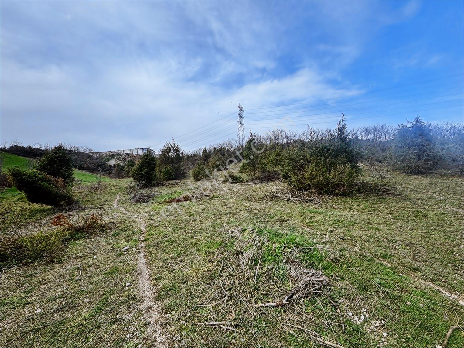 Derince Çavuşluda Resmi Yolu Olan 13.373 M² Tarla - Görsel 28