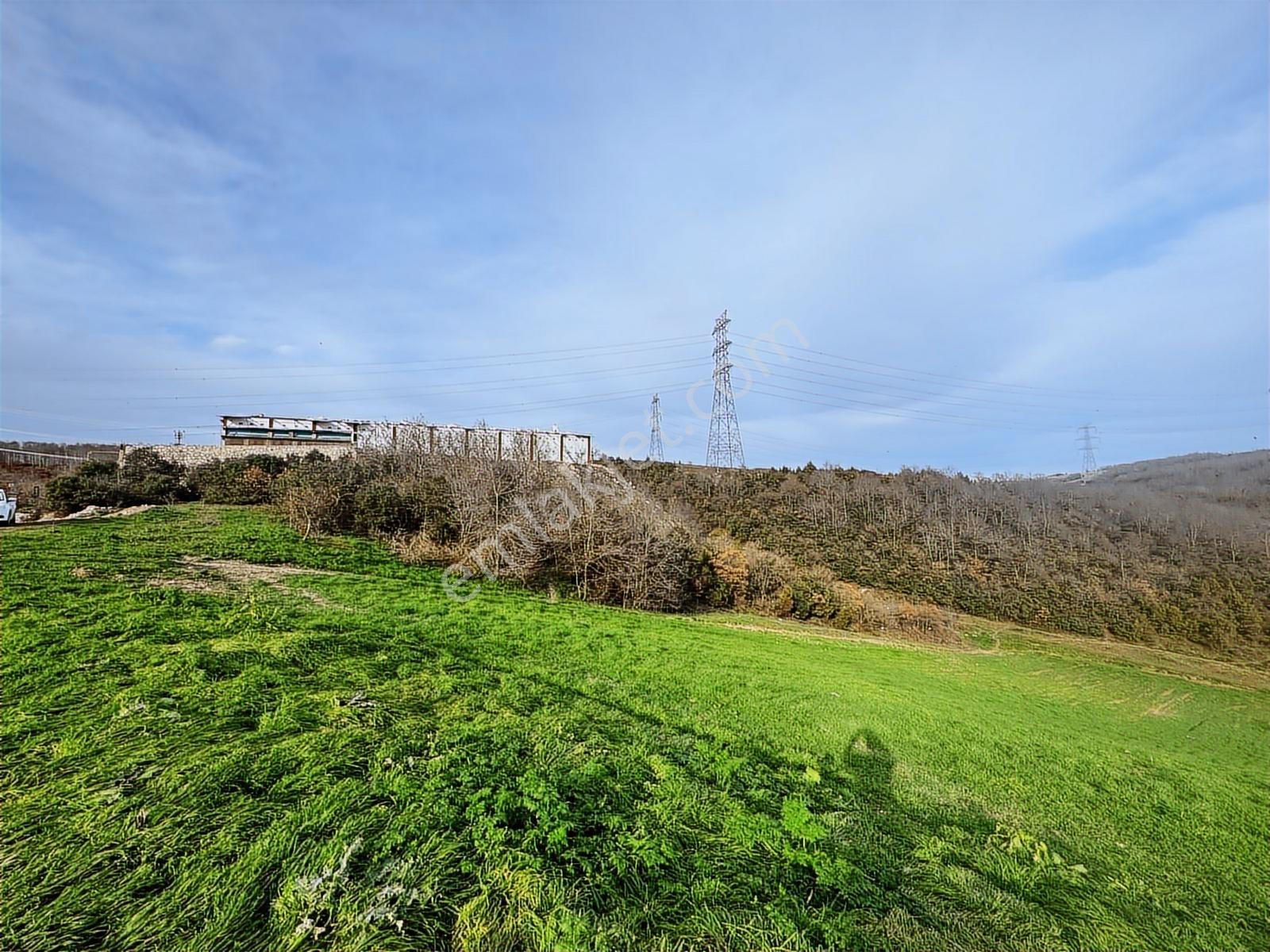 Derince Çavuşluda Resmi Yolu Olan 13.373 M² Tarla - Görsel 6