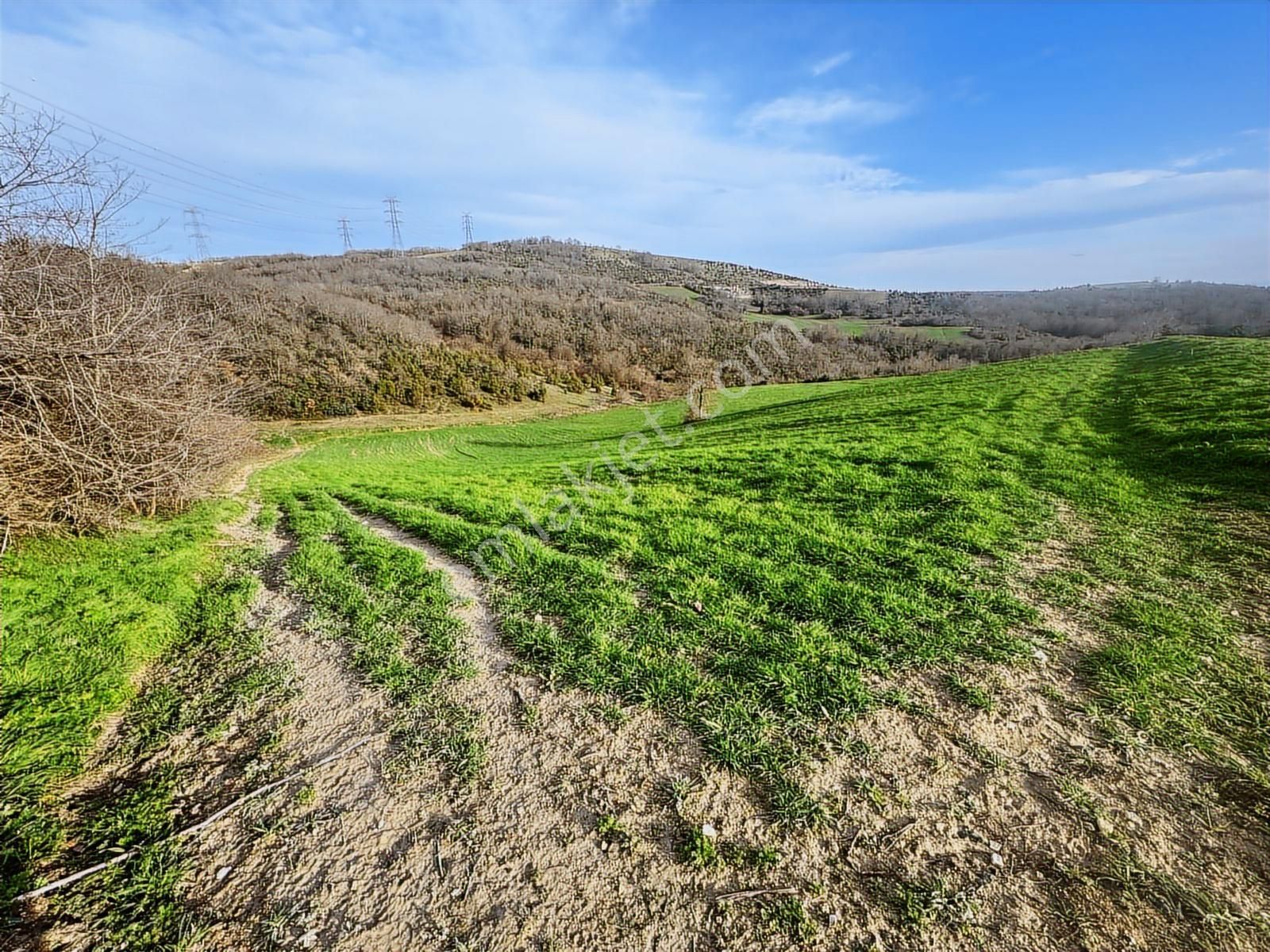 Derince Çavuşluda Resmi Yolu Olan 13.373 M² Tarla - Görsel 6