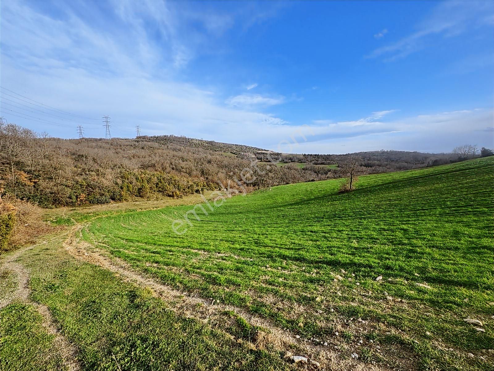 Derince Çavuşluda Resmi Yolu Olan 13.373 M² Tarla - Görsel 14