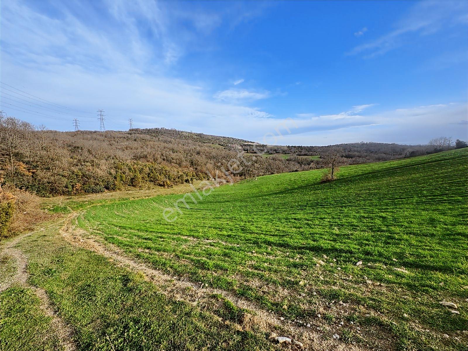 Derince Çavuşluda Resmi Yolu Olan 13.373 M² Tarla - Görsel 15