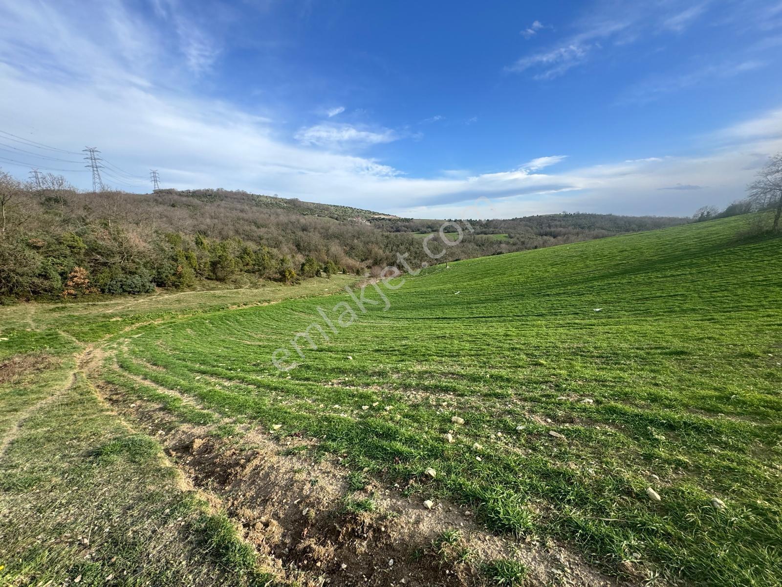 Derince Çavuşluda Resmi Yolu Olan 13.373 M² Tarla - Görsel 31