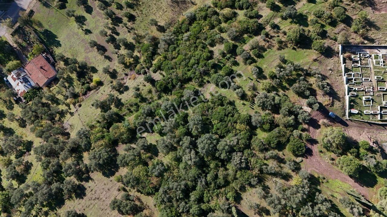 Altın Emlak'tan Kocaeli Körfez'de Deniz Manzaralı Fırsat Arsa - Görsel 11