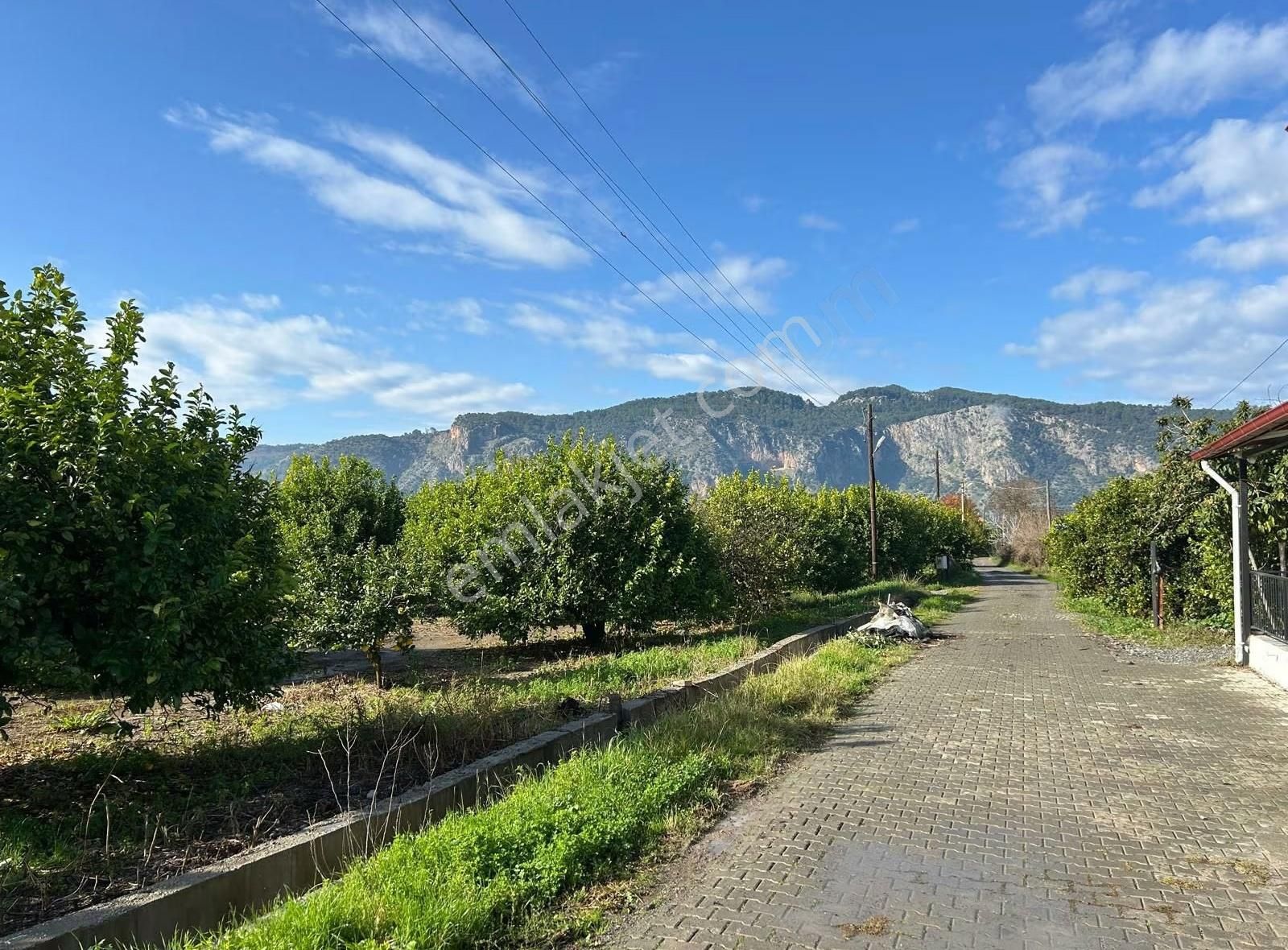 Gizemli Emlak Dan Kiralık 2+1 Boş Daire - Görsel 3
