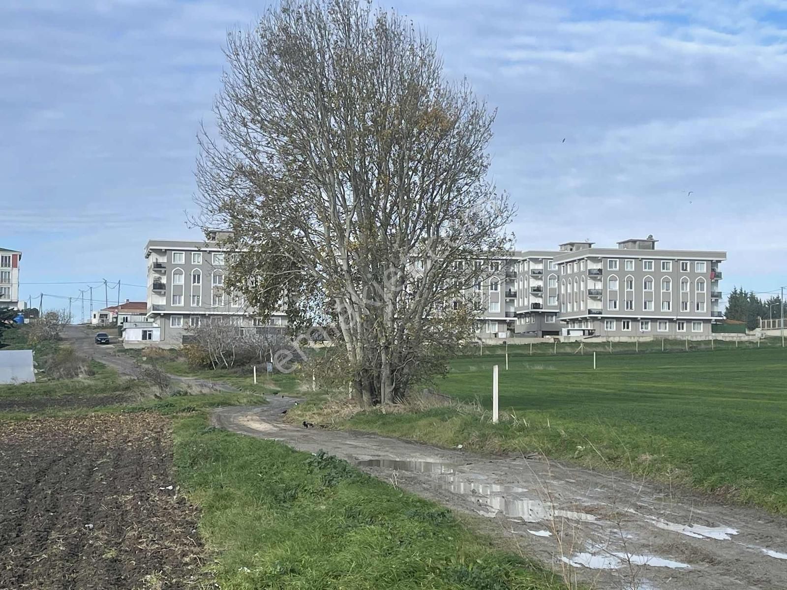 Dereliemlaktan Selimpasadasatılık 1450 M2imarlı Arsa(fiyatdüştü) - Görsel 7