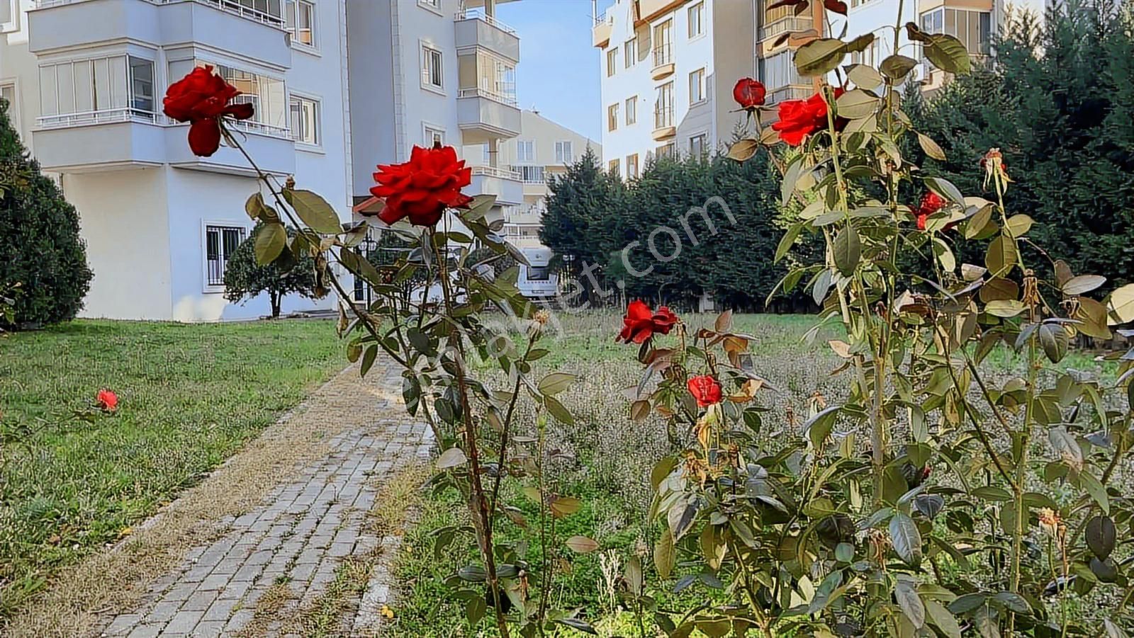 Demircide Park Ve Dağ Manzaralı 255 M2 Satılık 5+1 Dubleks Daire - Görsel 24