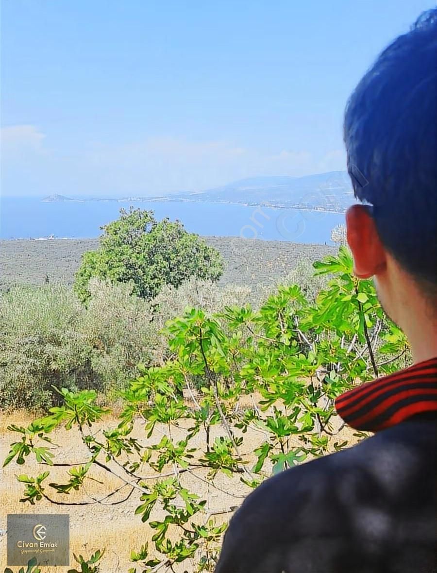 Civan Emlaktan Balıkesir Edincik Te Satılık Bahçe