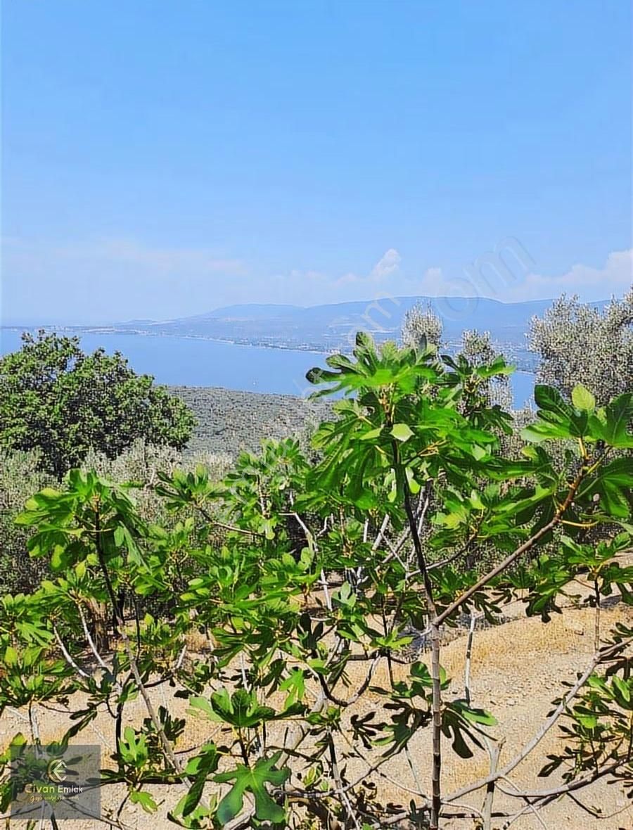 Civan Emlaktan Balıkesir Edincik Te Satılık Bahçe - Görsel 2