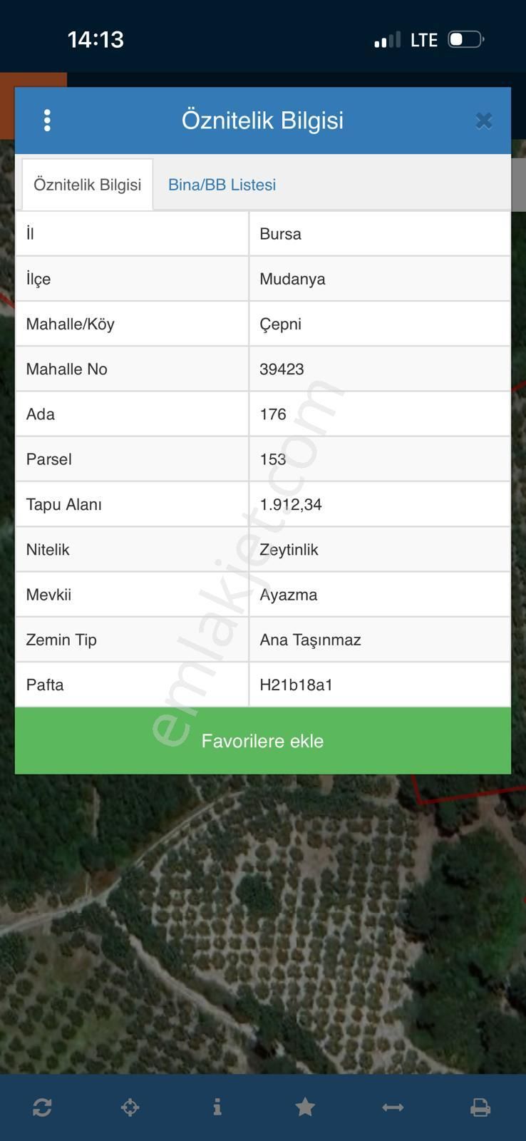 Meta Invest, Mudanya Çepnide Deniz Manzaralı 50 Ağaçlı Zeytinlik - Görsel 5
