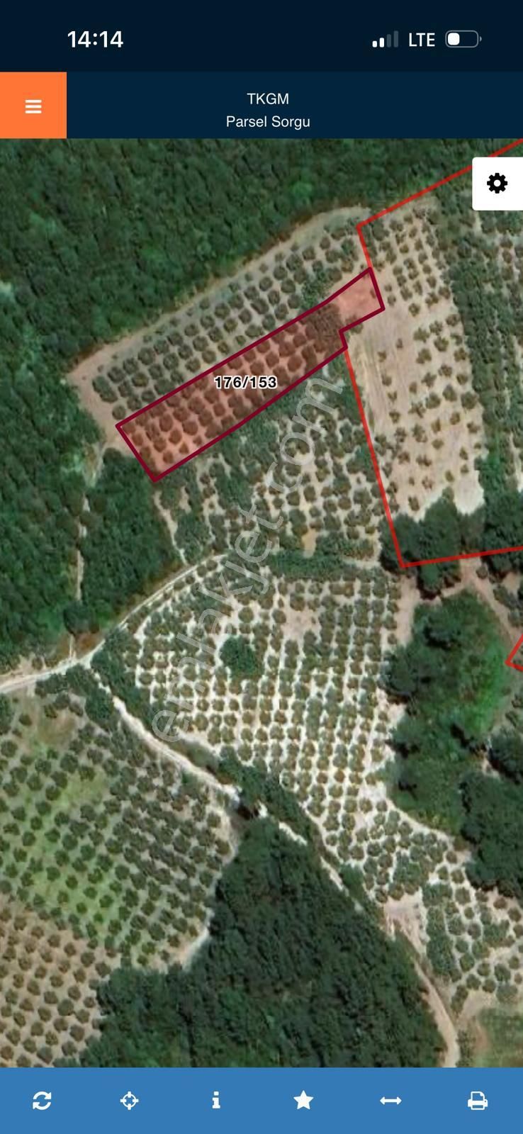 Meta Invest, Mudanya Çepnide Deniz Manzaralı 50 Ağaçlı Zeytinlik - Görsel 7