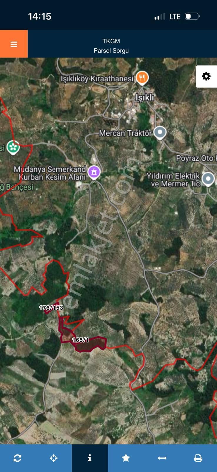 Meta Invest, Mudanya Çepnide Deniz Manzaralı 50 Ağaçlı Zeytinlik - Görsel 6