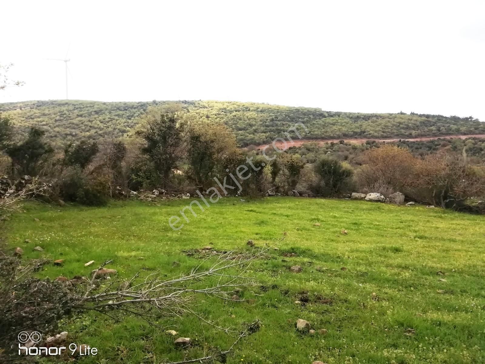 Bergama İsmaillide(denize 27km Uzaklıkta)köyiçi İmarlıarsa-400m - Görsel 5