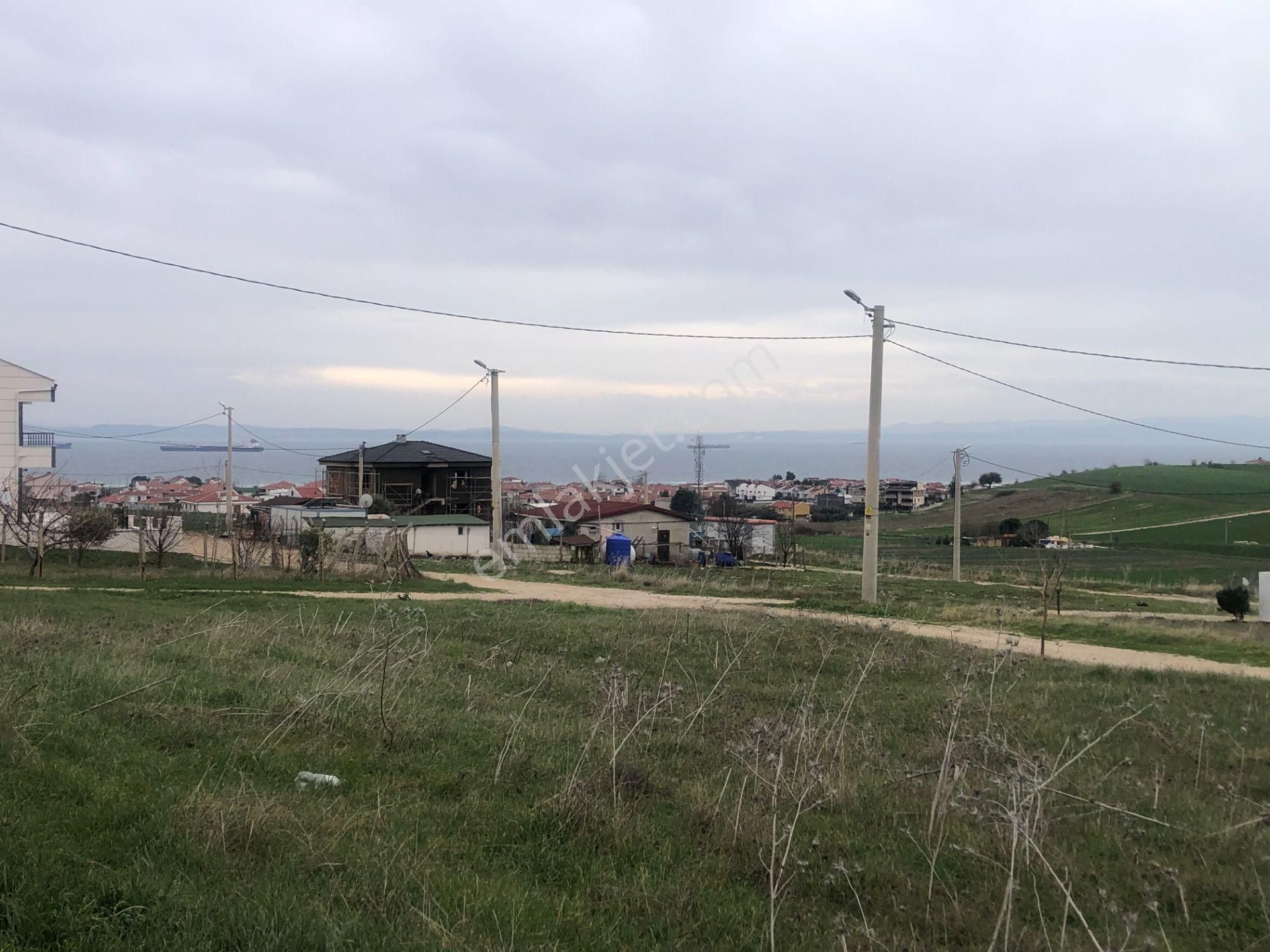 Şarköy De Işık Emlaktan İstiklal Mah De 216 M2 0/25 İmarlı Arsa - Görsel 2