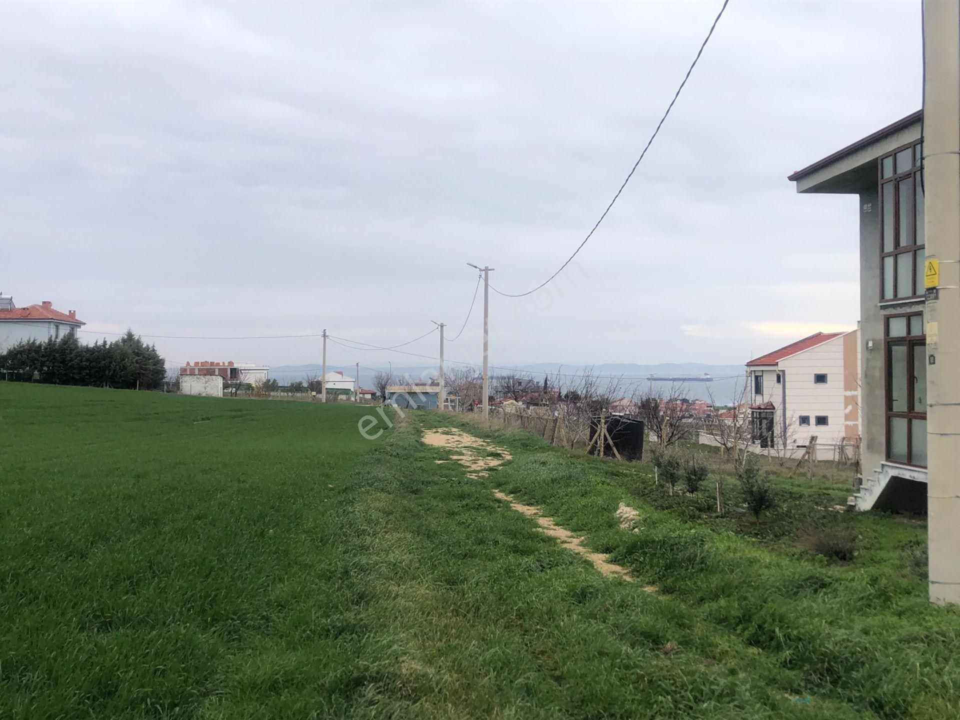 Şarköy De Işık Emlaktan İstiklal Mah De 216 M2 0/25 İmarlı Arsa - Görsel 13