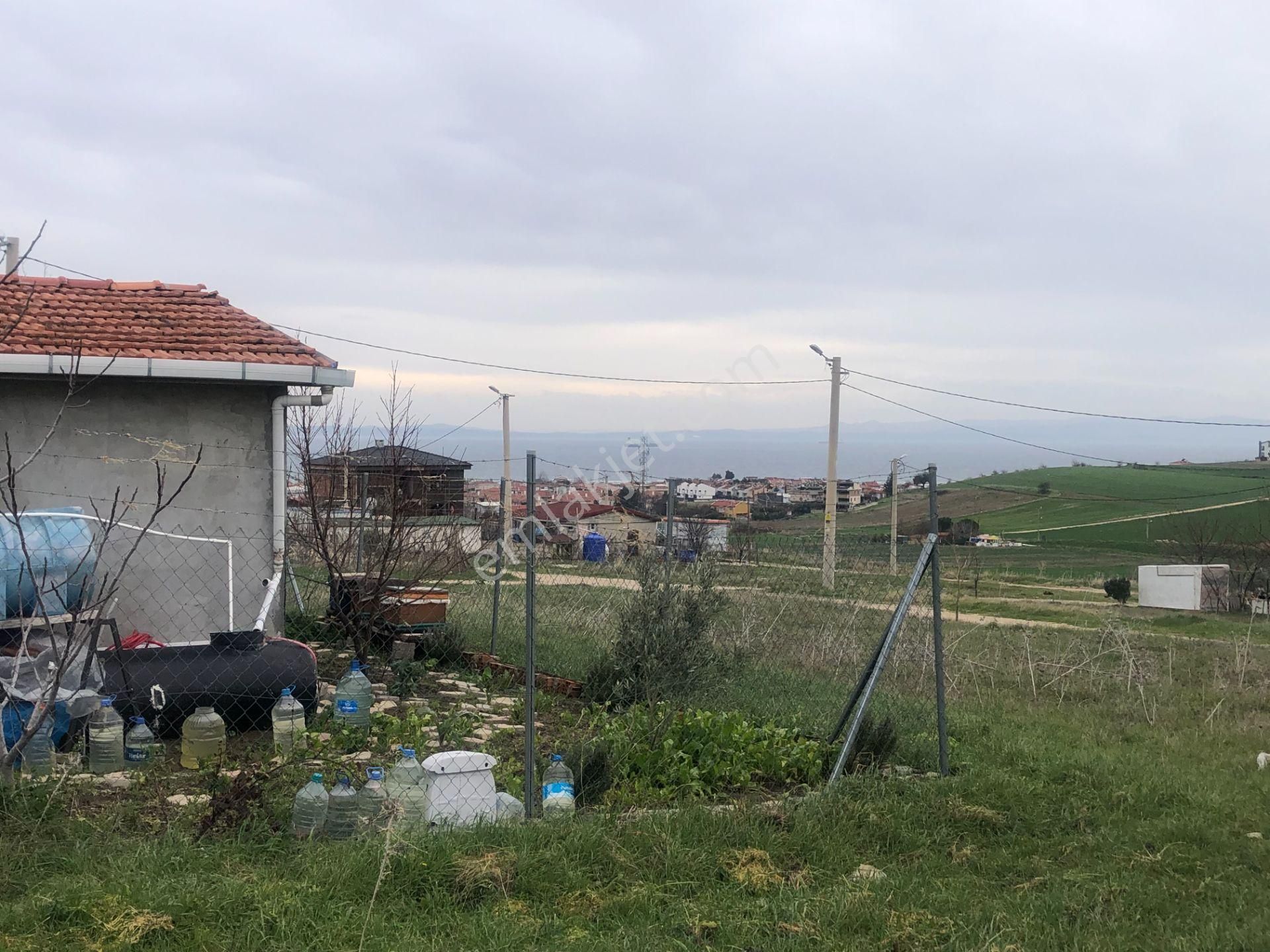 Şarköy De Işık Emlaktan İstiklal Mah De 216 M2 0/25 İmarlı Arsa