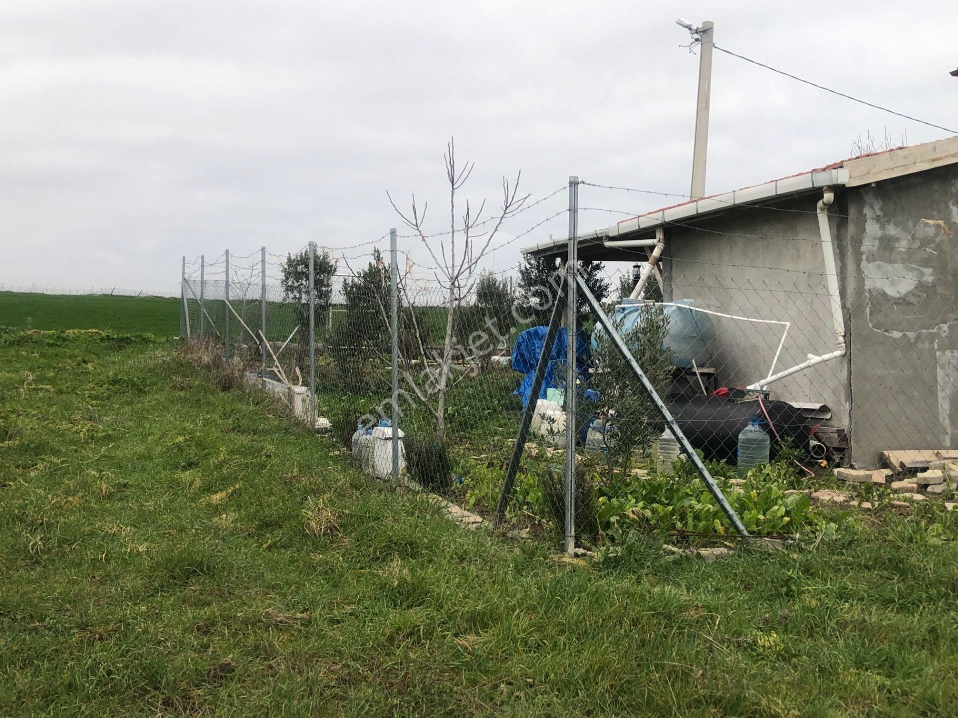 Şarköy De Işık Emlaktan İstiklal Mah De 216 M2 0/25 İmarlı Arsa - Görsel 5