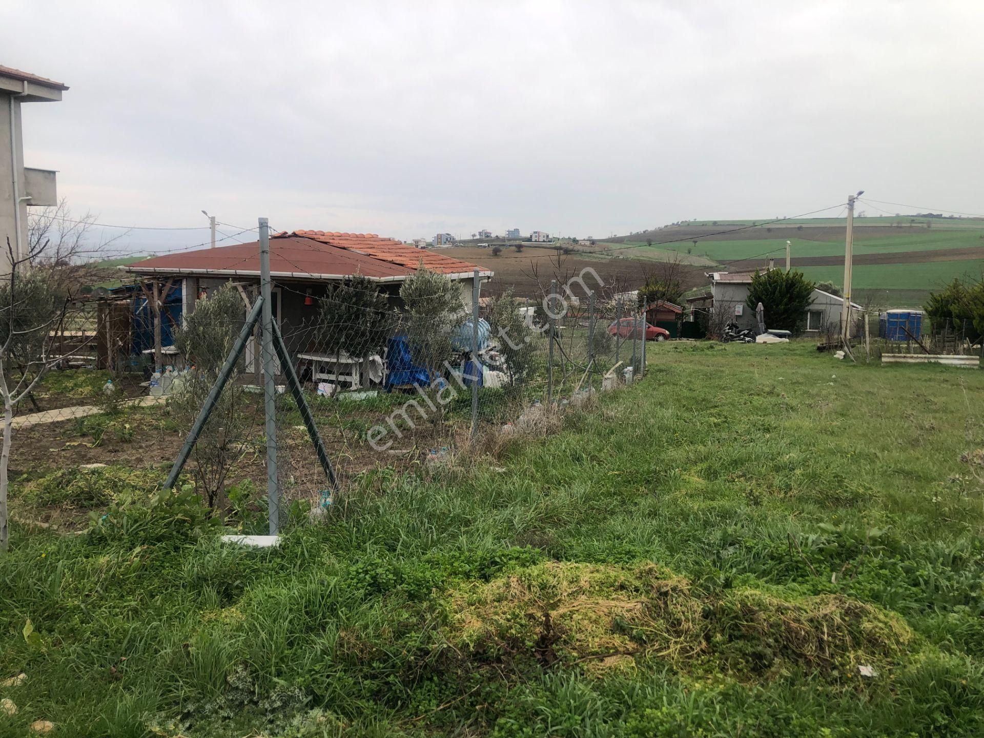 Şarköy De Işık Emlaktan İstiklal Mah De 216 M2 0/25 İmarlı Arsa - Görsel 3