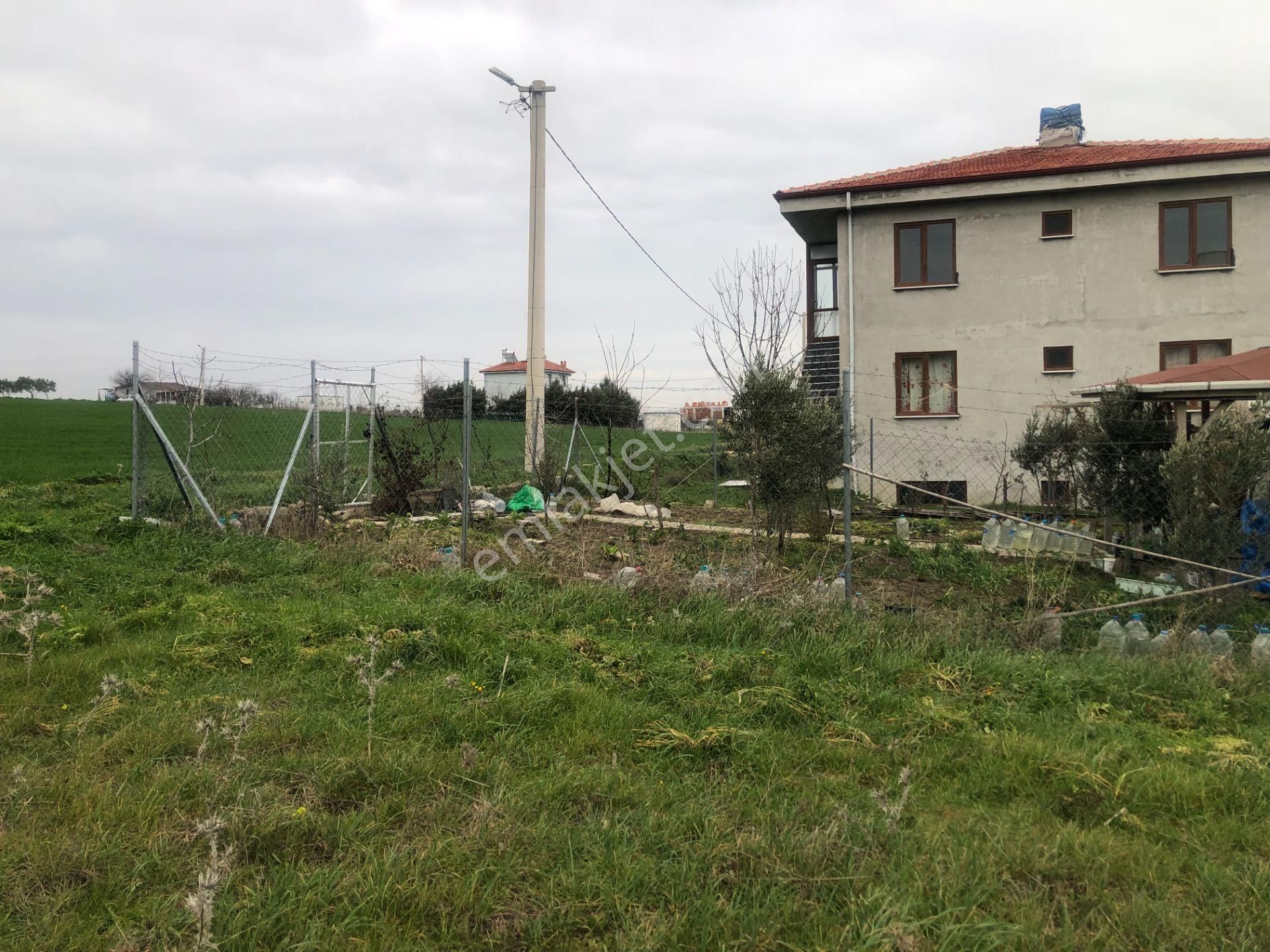 Şarköy De Işık Emlaktan İstiklal Mah De 216 M2 0/25 İmarlı Arsa - Görsel 7