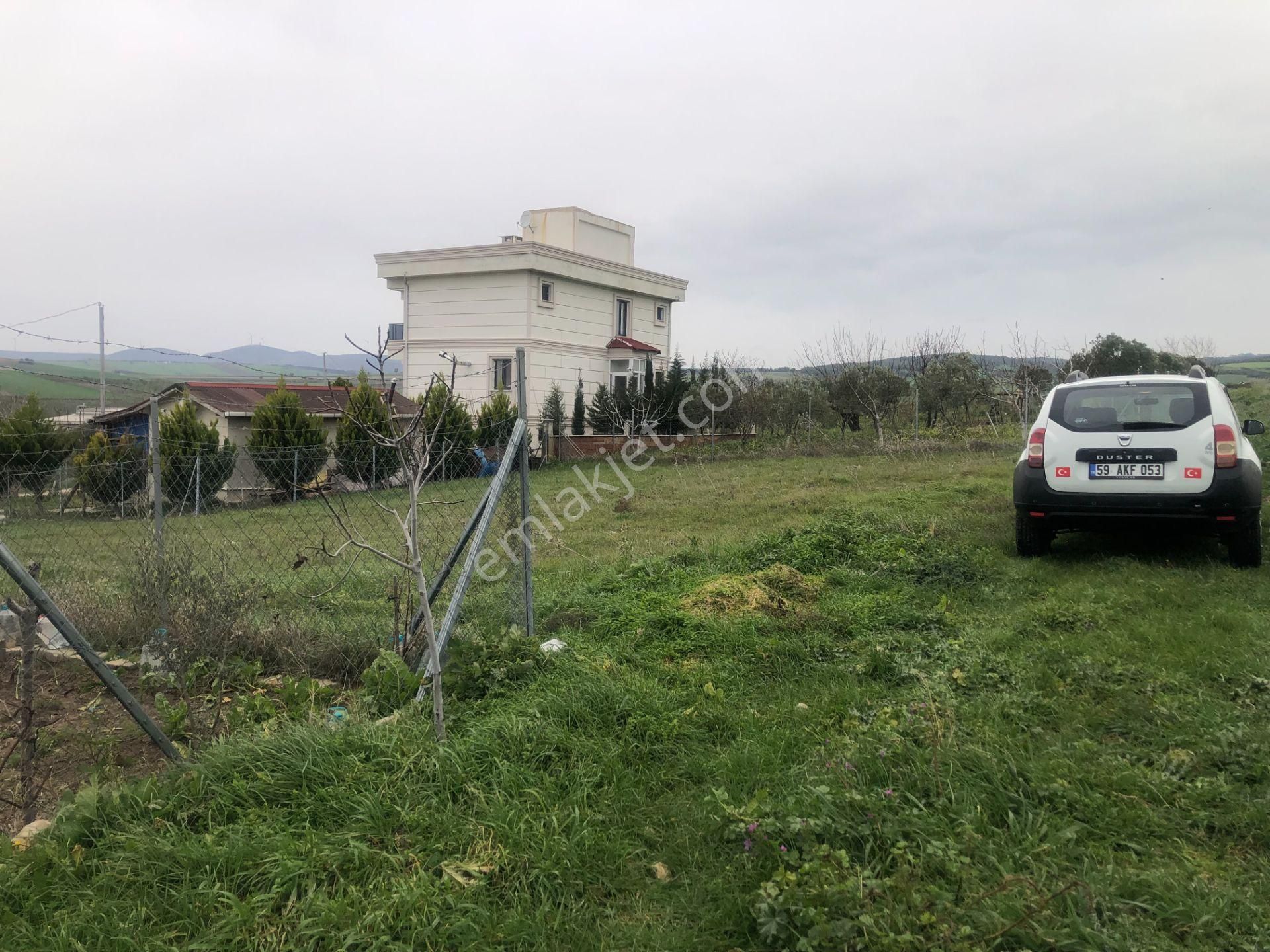 Şarköy De Işık Emlaktan İstiklal Mah De 216 M2 0/25 İmarlı Arsa - Görsel 12