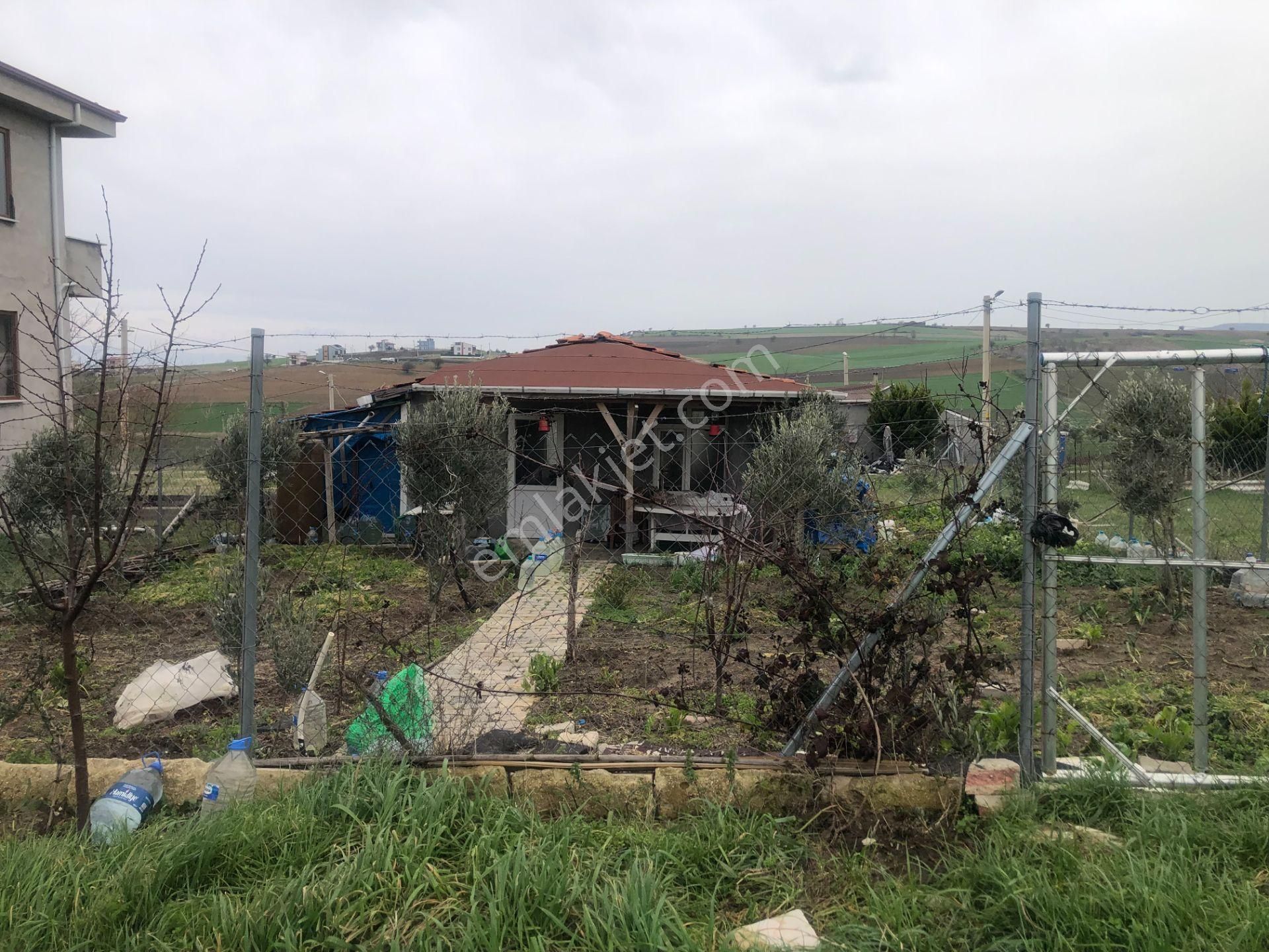 Şarköy De Işık Emlaktan İstiklal Mah De 216 M2 0/25 İmarlı Arsa - Görsel 4