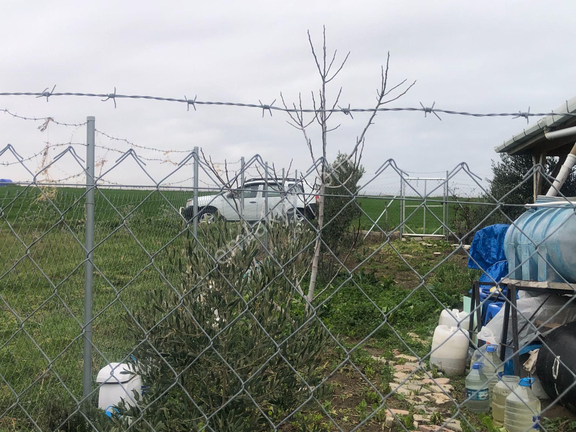 Şarköy De Işık Emlaktan İstiklal Mah De 216 M2 0/25 İmarlı Arsa - Görsel 6