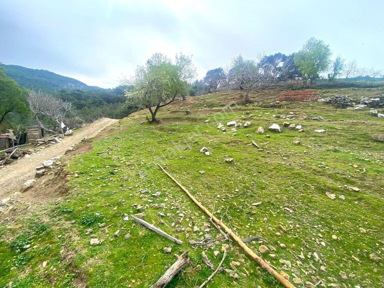 🟪aktif'ten Burhaniye Kuyumcu Köyü' Nde Yatrıma Uygun %40 İmarlı 878m2 Satılık Arsa - Görsel 32