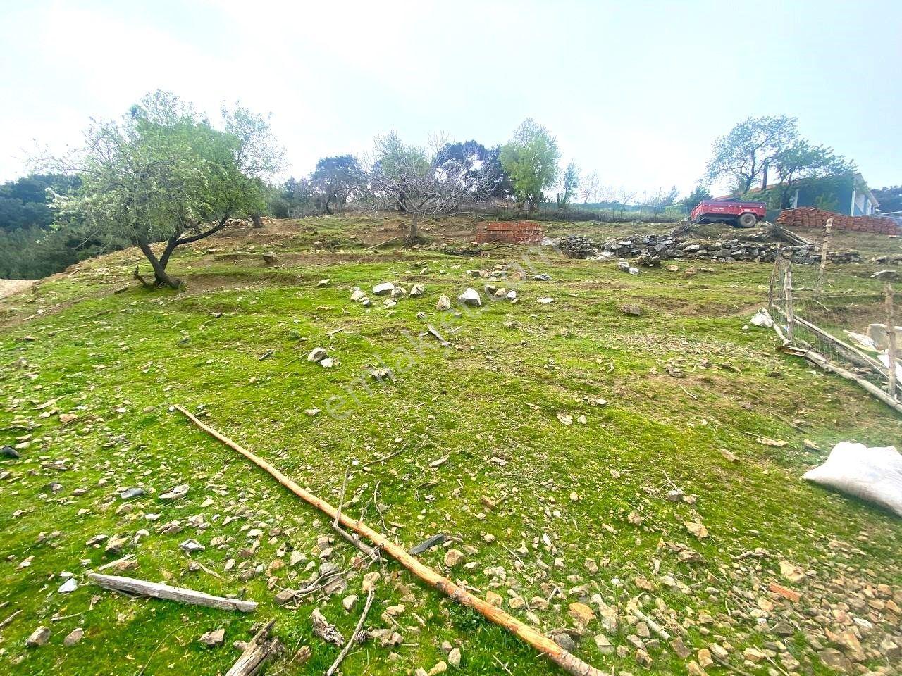 🟪aktif'ten Burhaniye Kuyumcu Köyü' Nde Yatrıma Uygun %40 İmarlı 878m2 Satılık Arsa