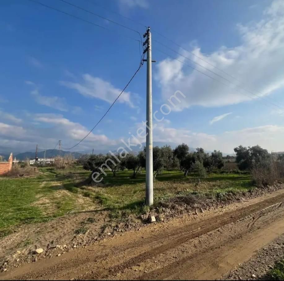 📌durasallı Da Satılık 957 Mt Bahçe - Görsel 12