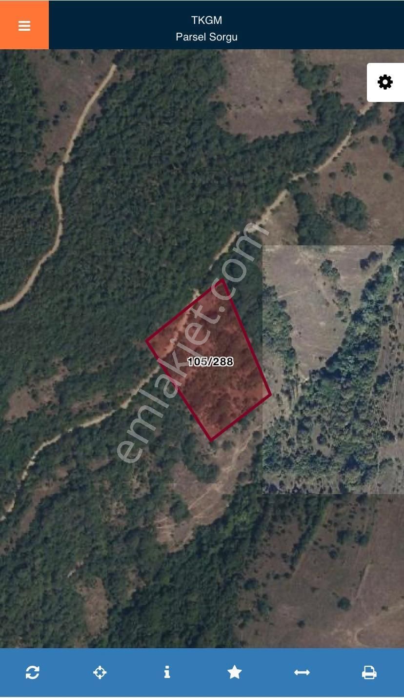 Akgün Kurumsal'dan Kavak Da Satılık 8827 M2 Arsa - Görsel 5
