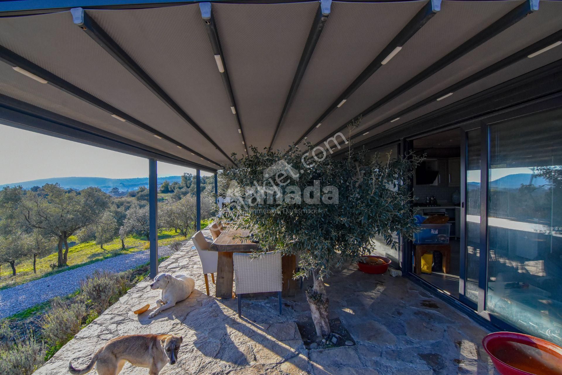 Selçuk Çamlık'ta İçinde Ev Olan Satılık Bahçe - Görsel 29