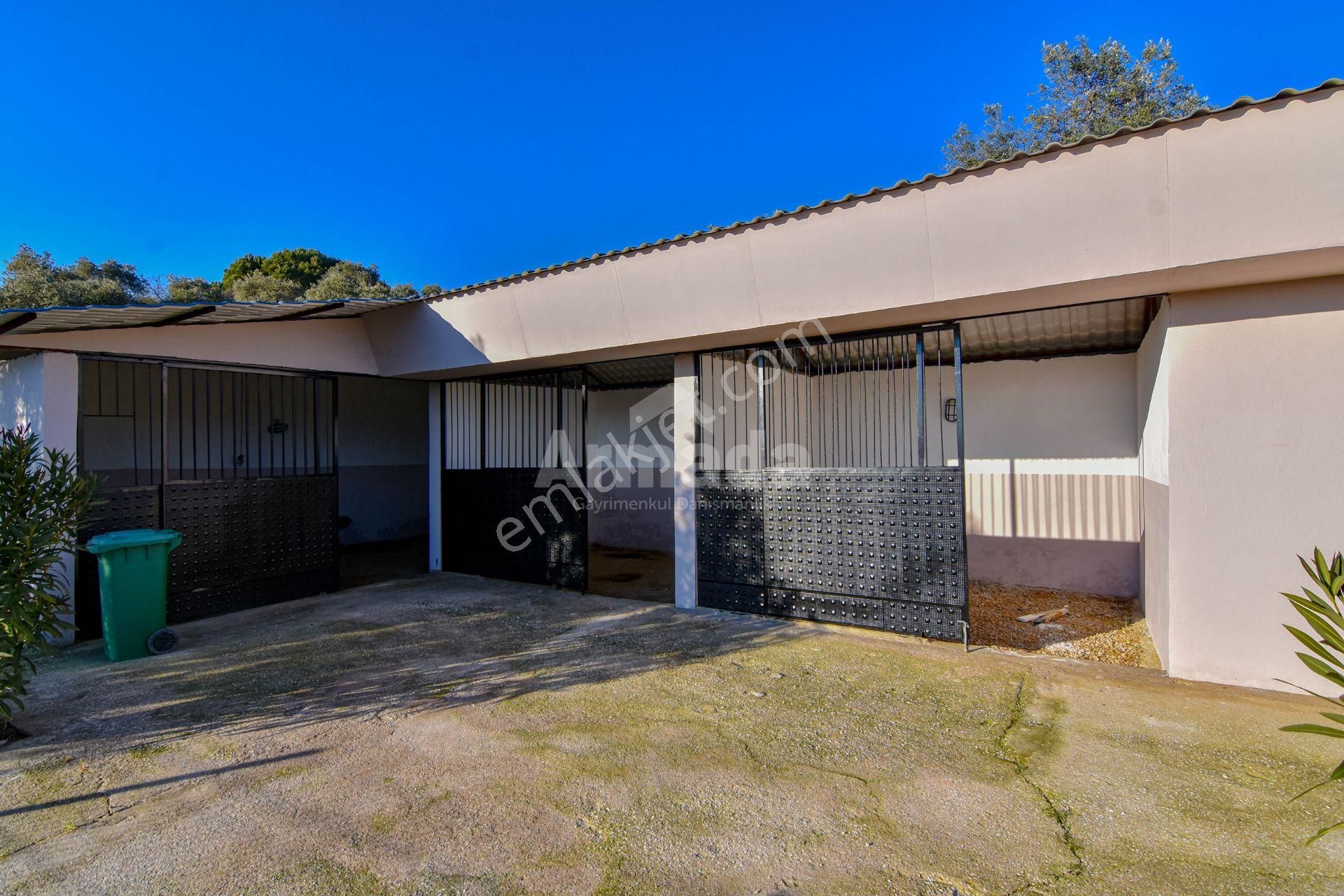 Selçuk Çamlık'ta İçinde Ev Olan Satılık Bahçe - Görsel 33