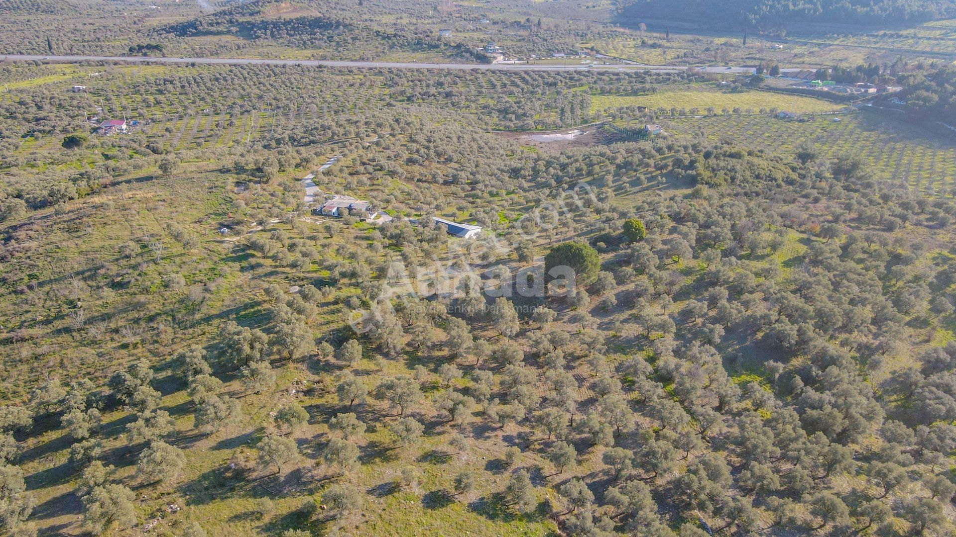 Selçuk Çamlık'ta İçinde Ev Olan Satılık Bahçe - Görsel 9