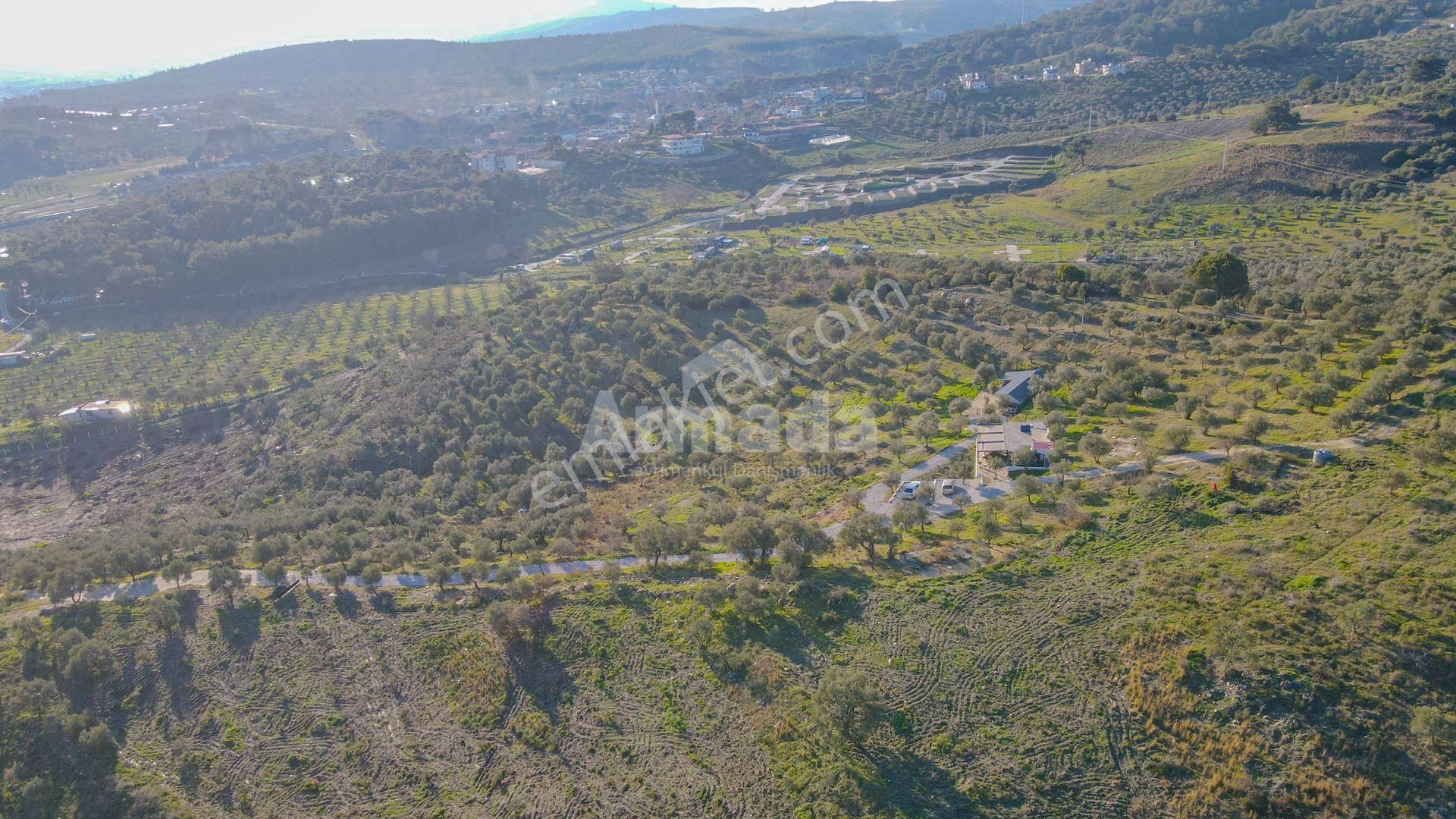 Selçuk Çamlık'ta İçinde Ev Olan Satılık Bahçe - Görsel 7
