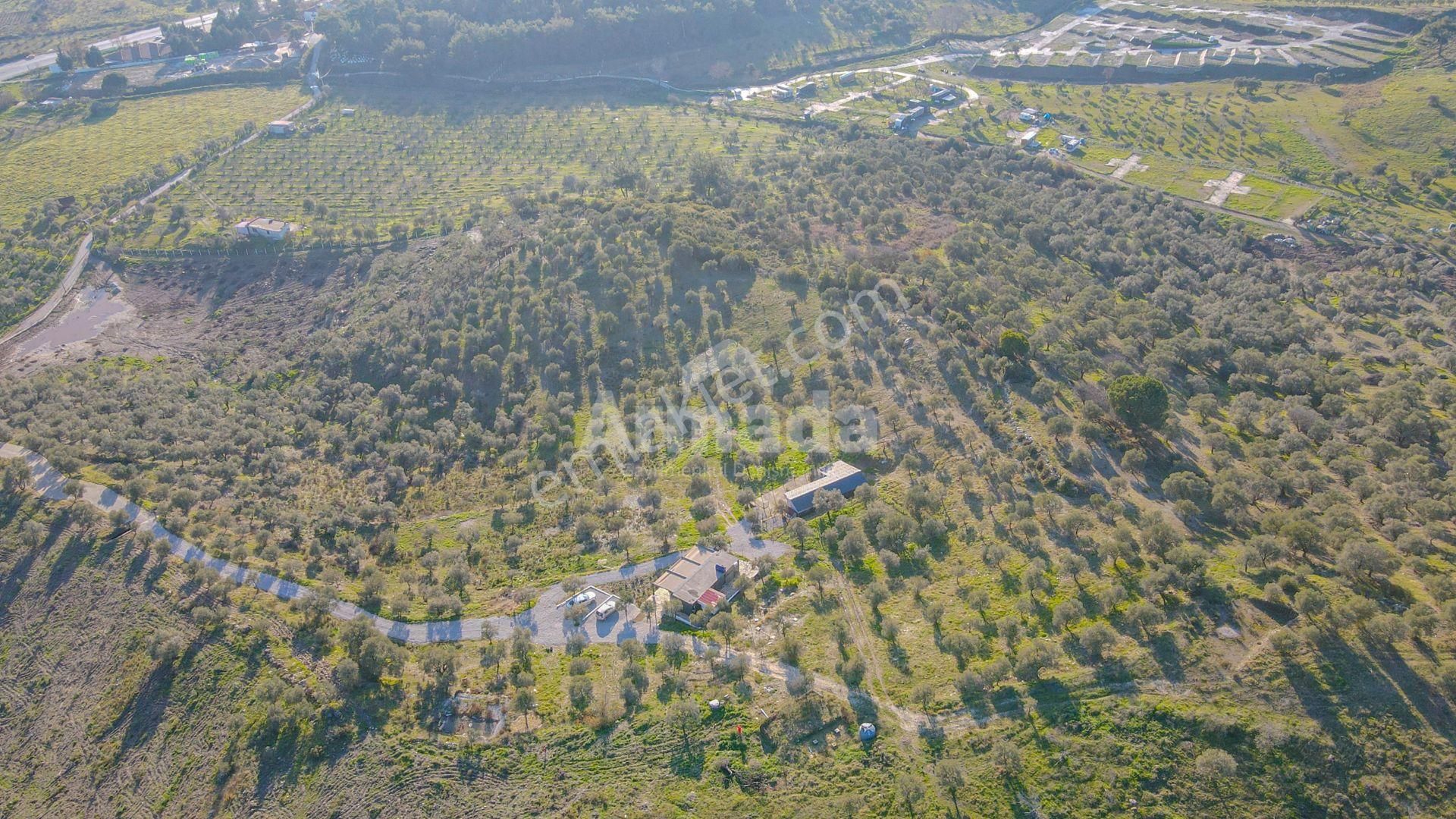 Selçuk Çamlık'ta İçinde Ev Olan Satılık Bahçe - Görsel 16