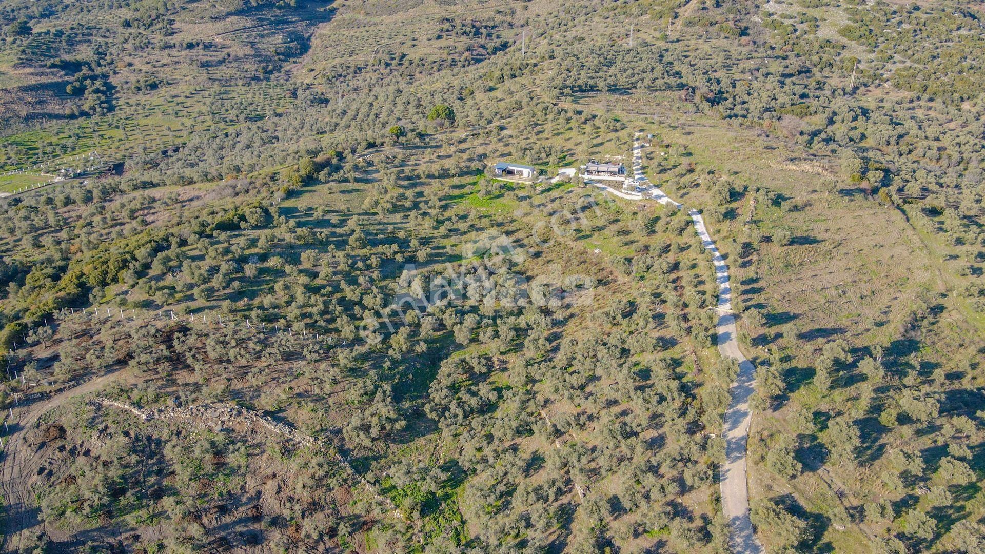 Selçuk Çamlık'ta İçinde Ev Olan Satılık Bahçe - Görsel 3