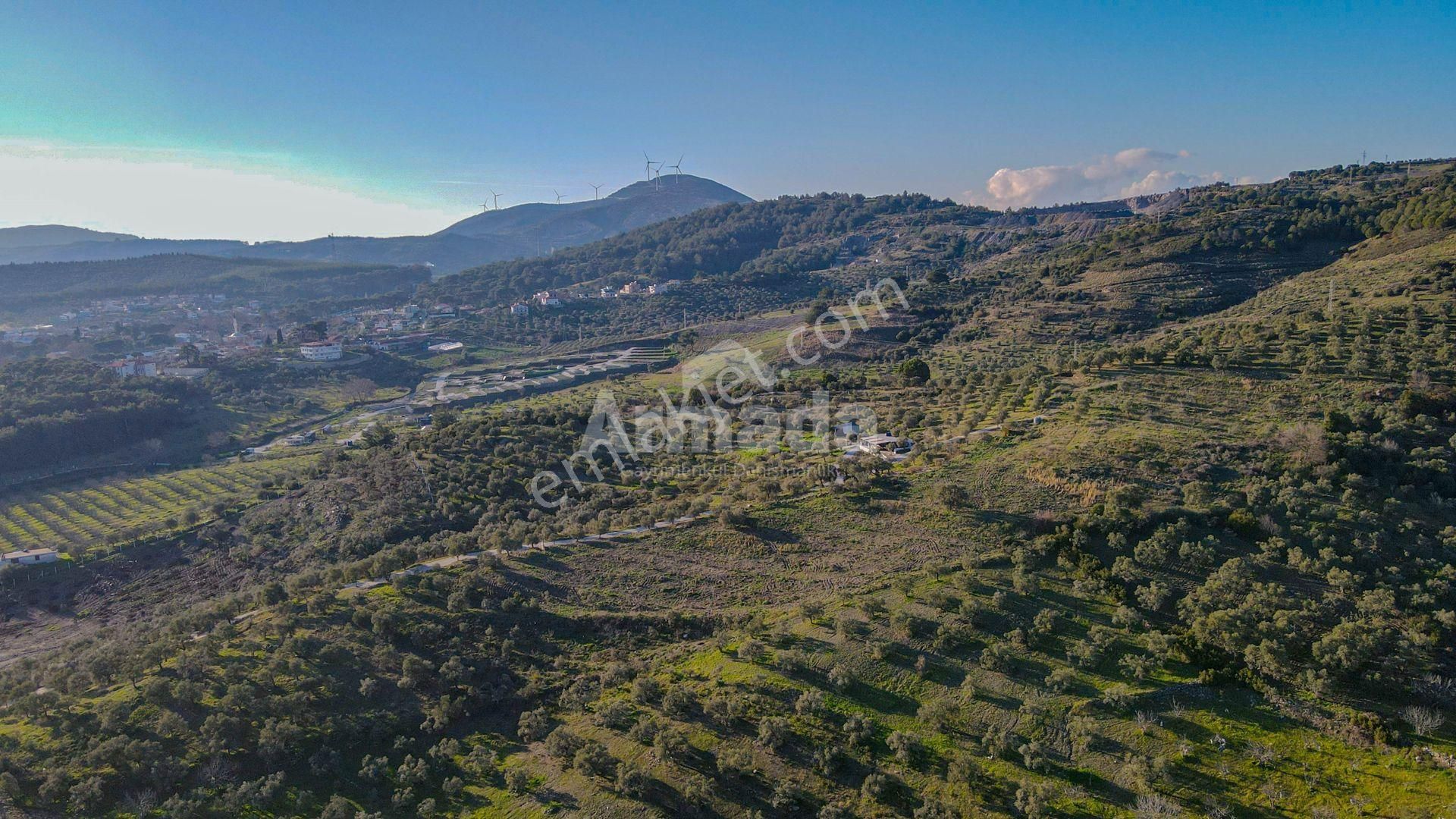 Selçuk Çamlık'ta İçinde Ev Olan Satılık Bahçe - Görsel 15