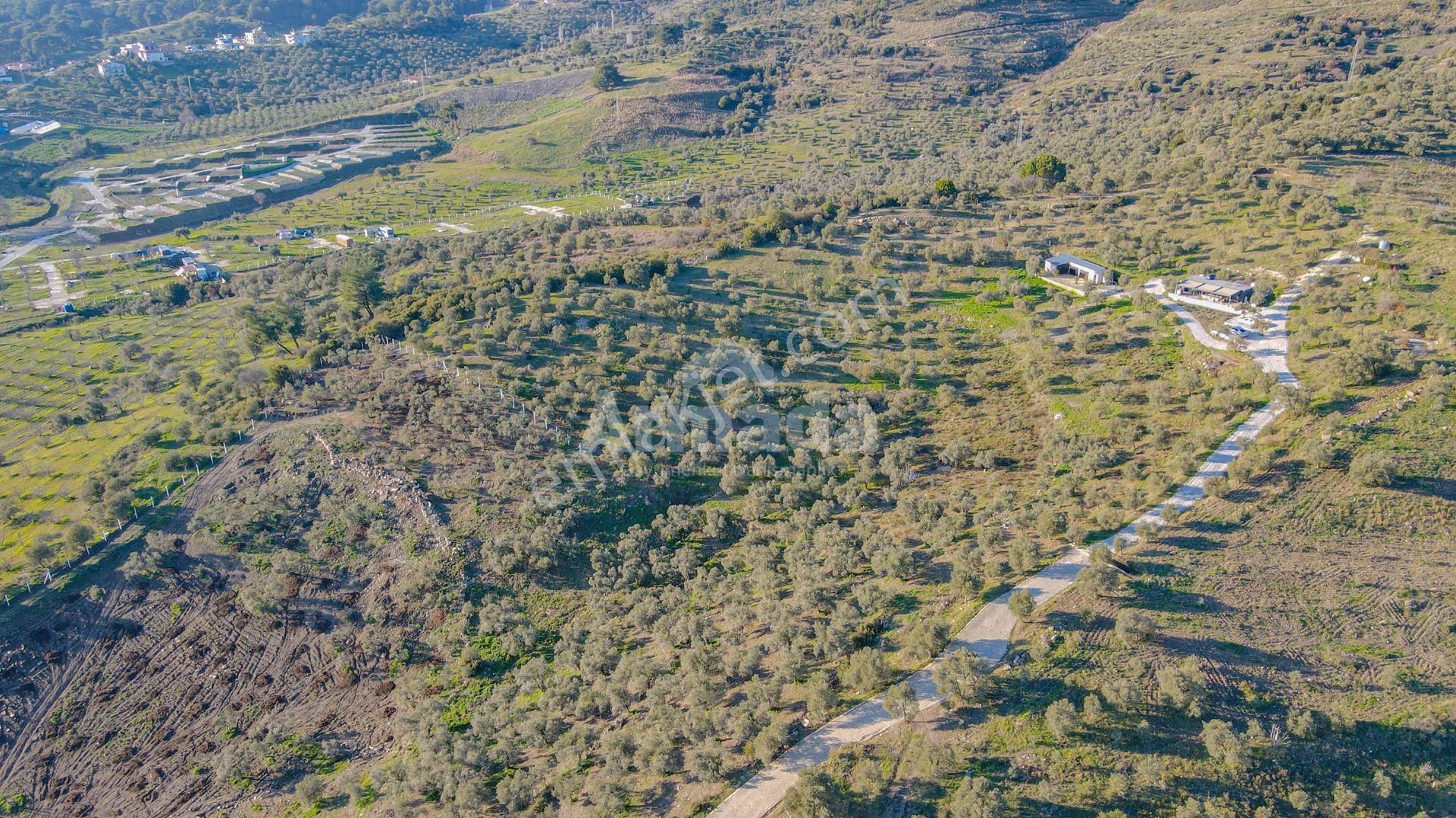 Selçuk Çamlık'ta İçinde Ev Olan Satılık Bahçe - Görsel 5