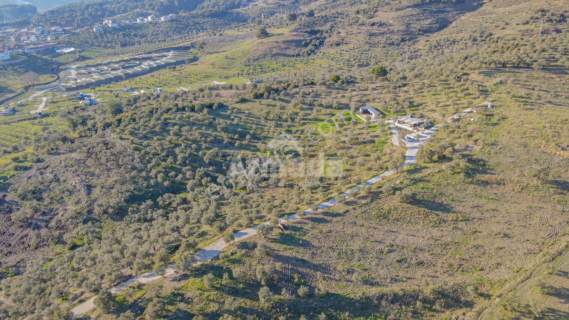 Selçuk Çamlık'ta İçinde Ev Olan Satılık Bahçe - Görsel 6