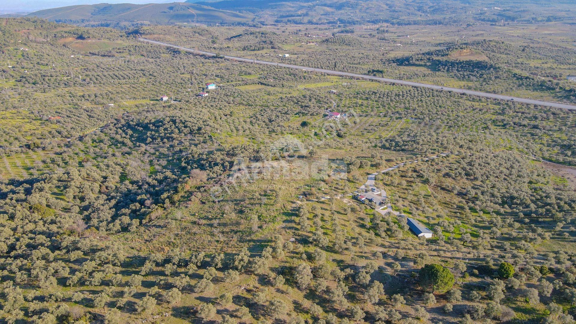 Selçuk Çamlık'ta İçinde Ev Olan Satılık Bahçe - Görsel 17