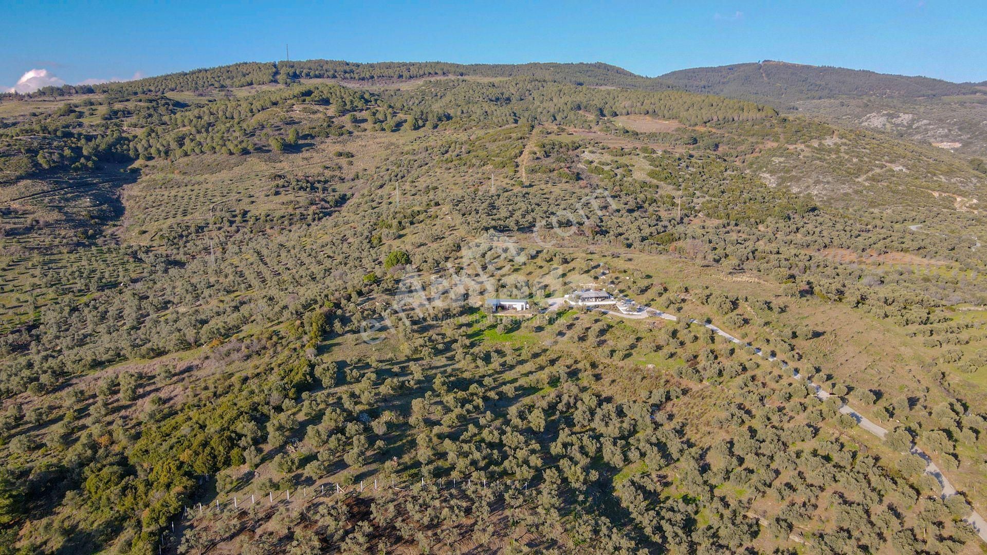 Selçuk Çamlık'ta İçinde Ev Olan Satılık Bahçe - Görsel 14