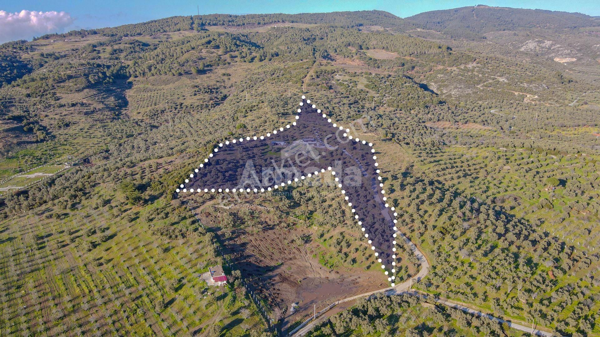 Selçuk Çamlık'ta İçinde Ev Olan Satılık Bahçe