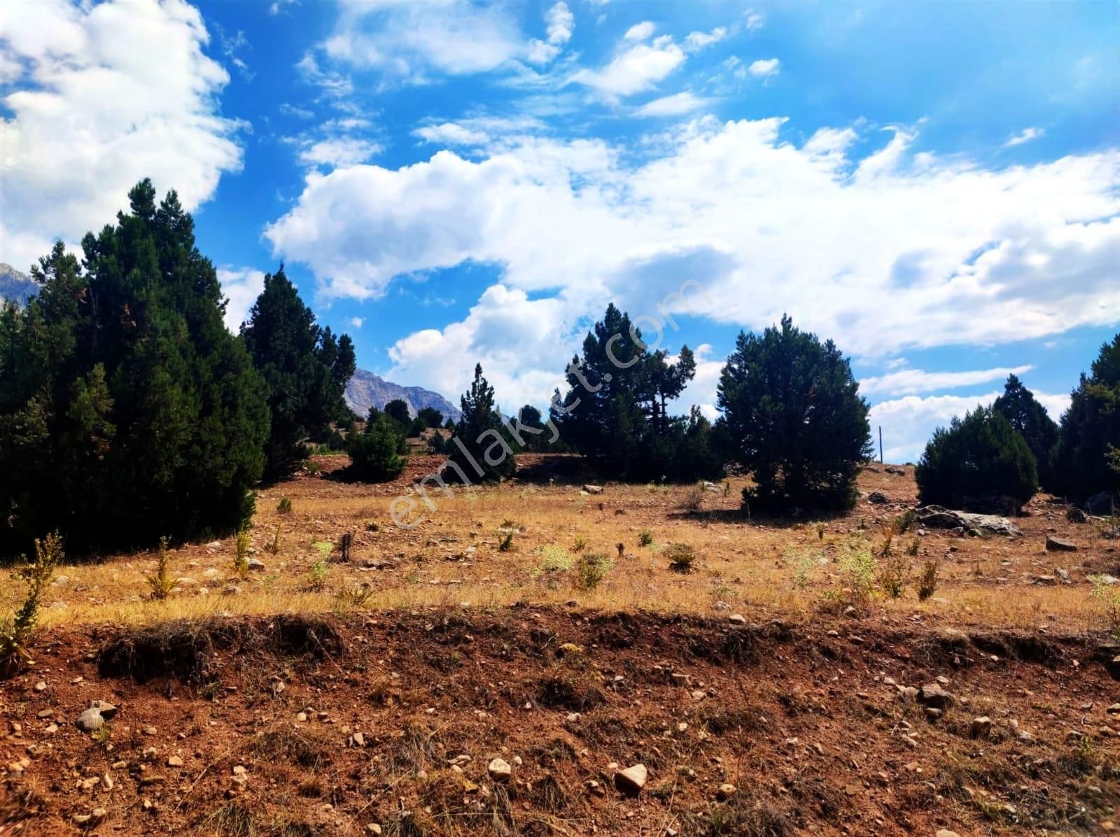Kar Emlaktan Aşçıbekirli Fenese Mevkiinde 400 M2 Satılık Arsa - Görsel 5
