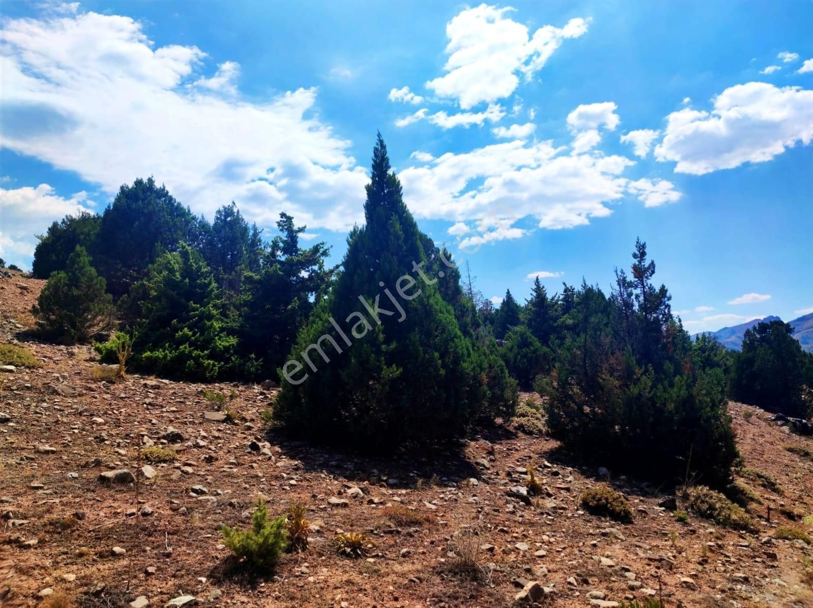 Kar Emlaktan Aşçıbekirli Fenese Mevkiinde 400 M2 Satılık Arsa - Görsel 27