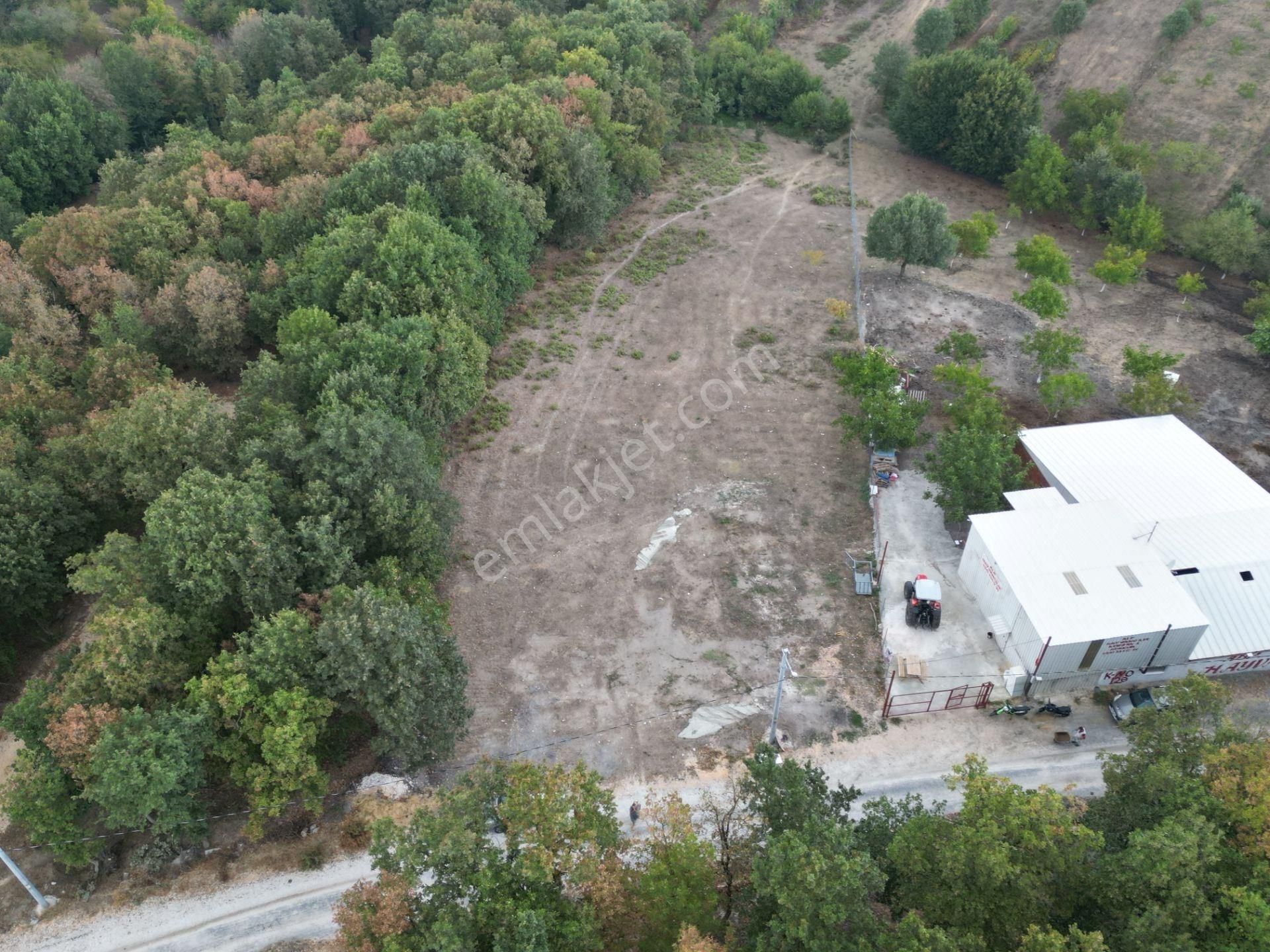 Bursa Orhangazi Fındıklı Mahallesi Satılık Tarla - Görsel 3
