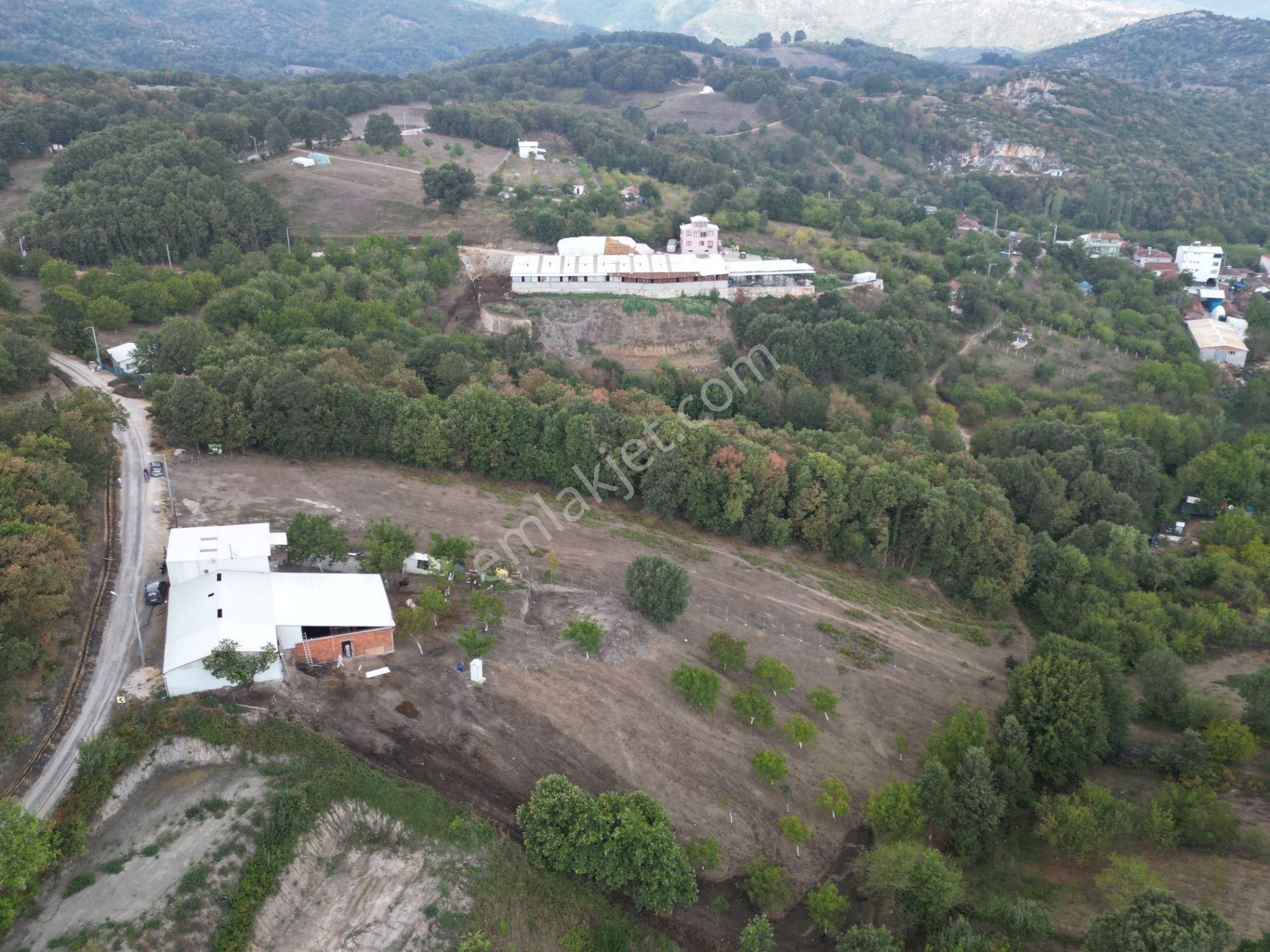 Bursa Orhangazi Fındıklı Mahallesi Satılık Tarla - Görsel 5