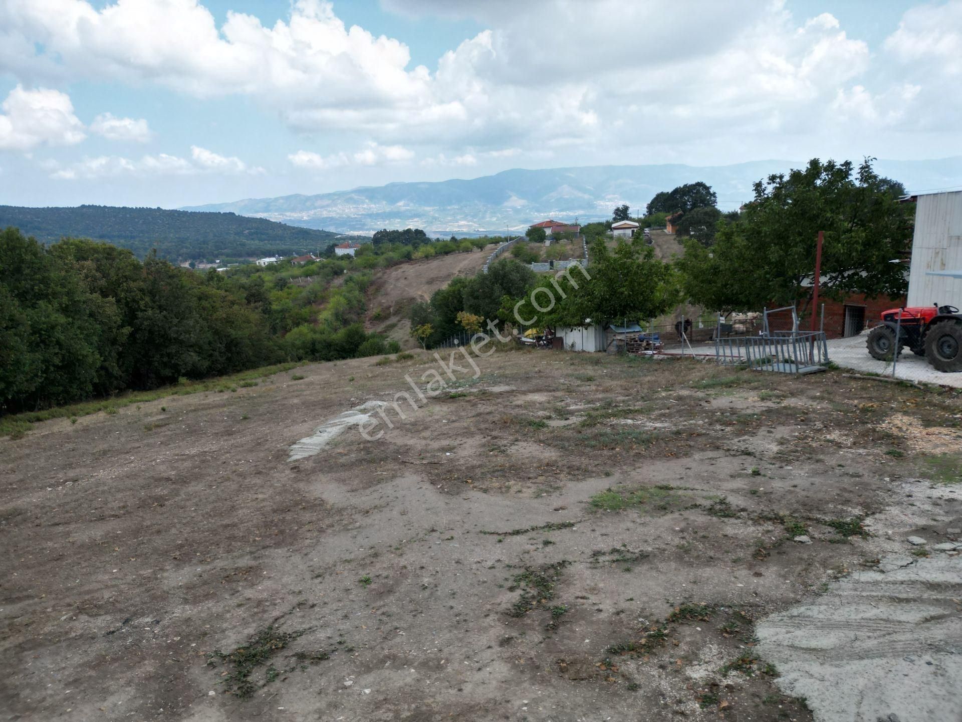Bursa Orhangazi Fındıklı Mahallesi Satılık Tarla - Görsel 9