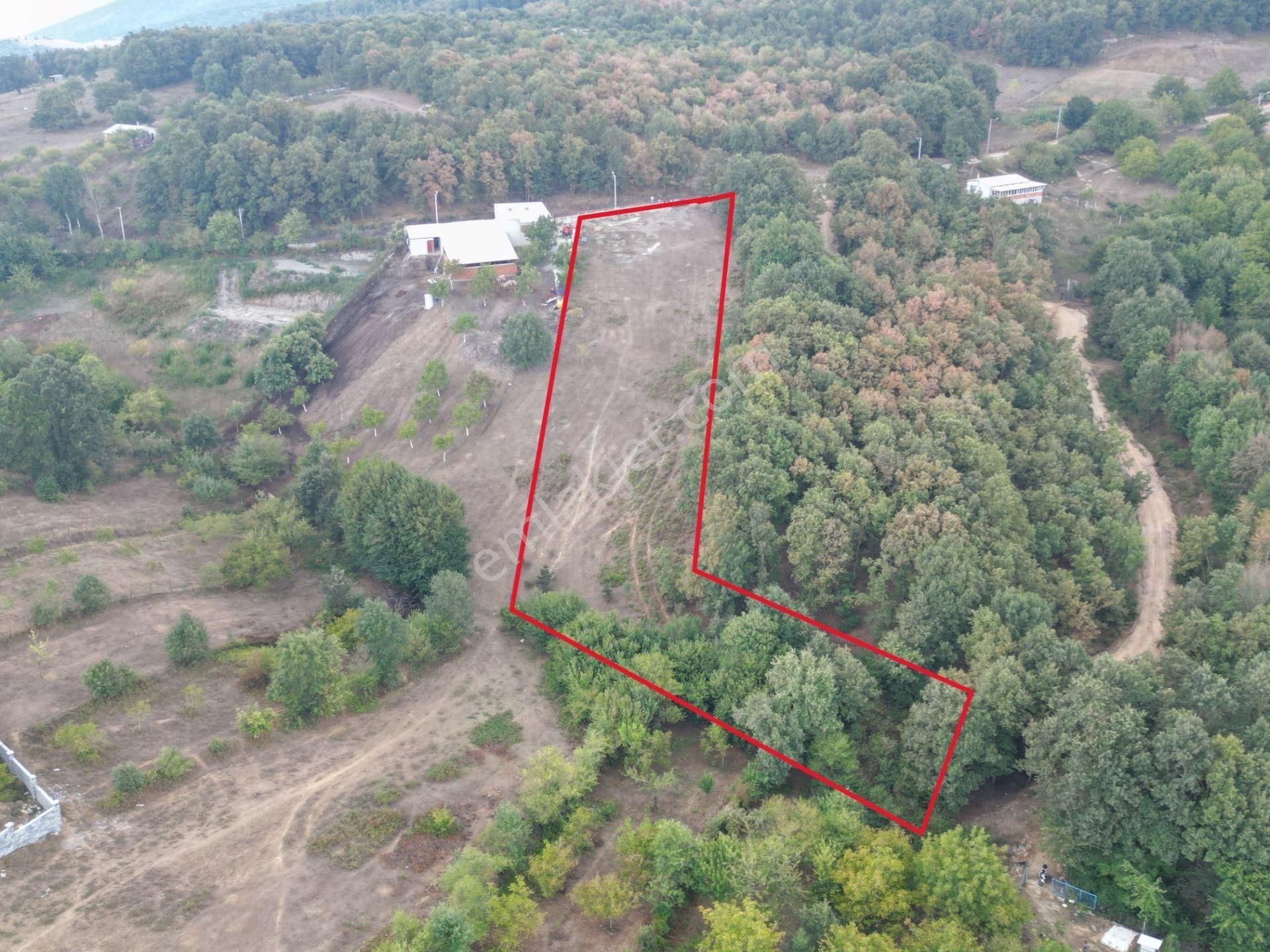Bursa Orhangazi Fındıklı Mahallesi Satılık Tarla - Görsel 2