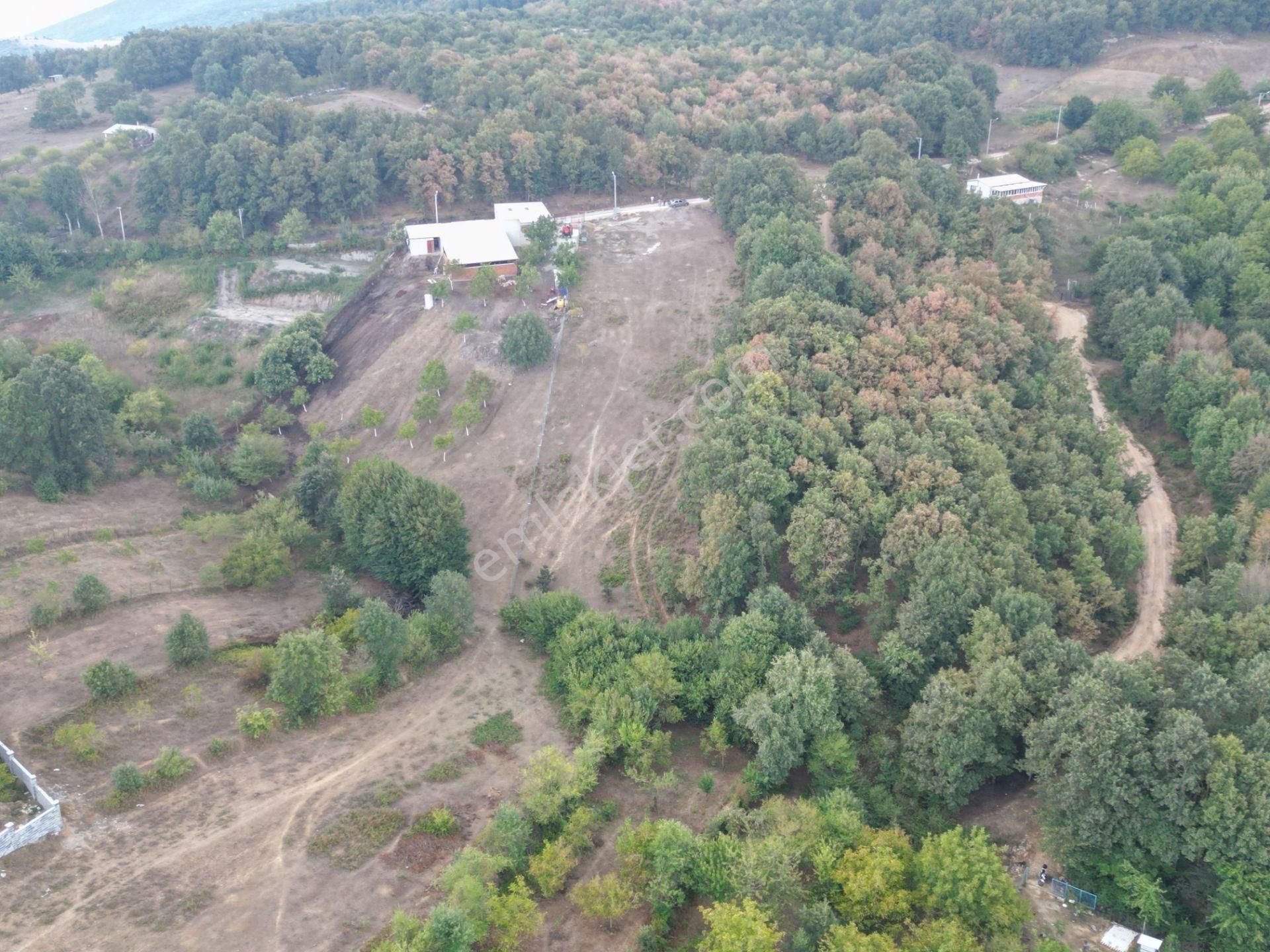 Bursa Orhangazi Fındıklı Mahallesi Satılık Tarla - Görsel 4