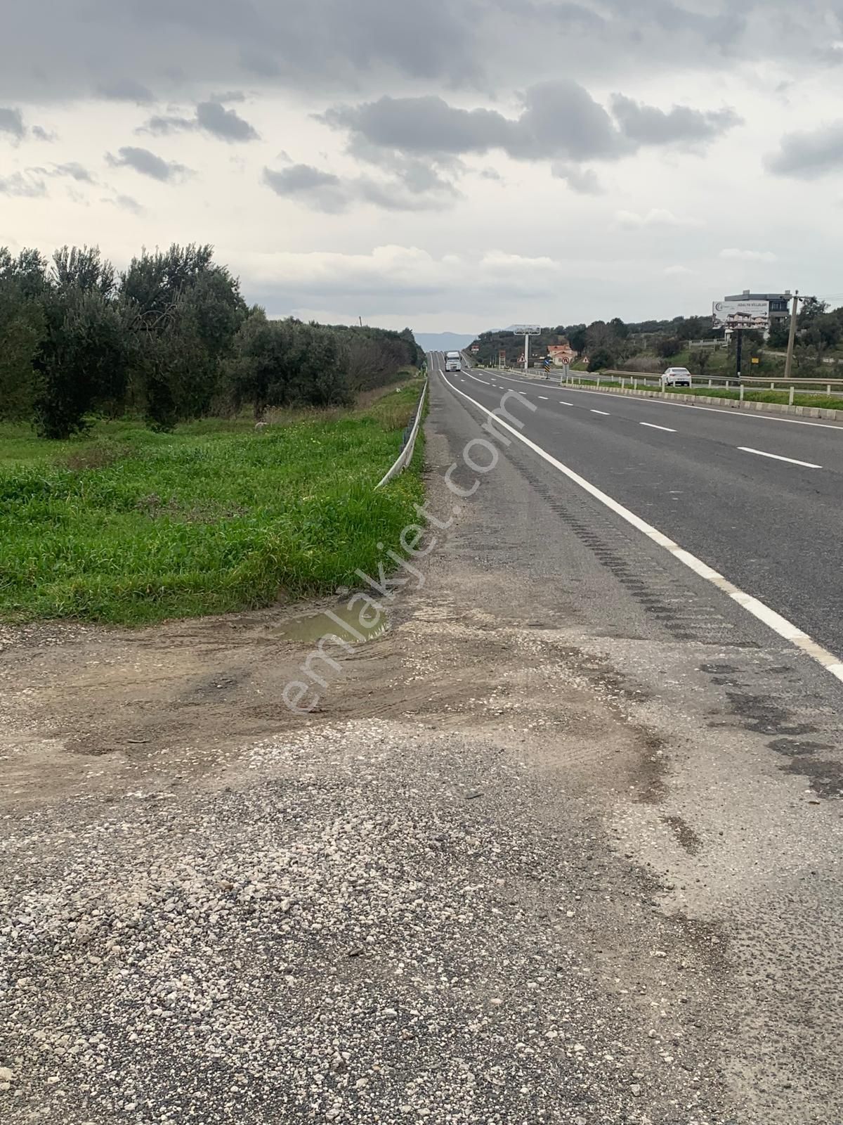 Aşağışakran’da Yola Cepheli, Konut Takasına Uygun Yatırımlık Zeytinlik - Görsel 3